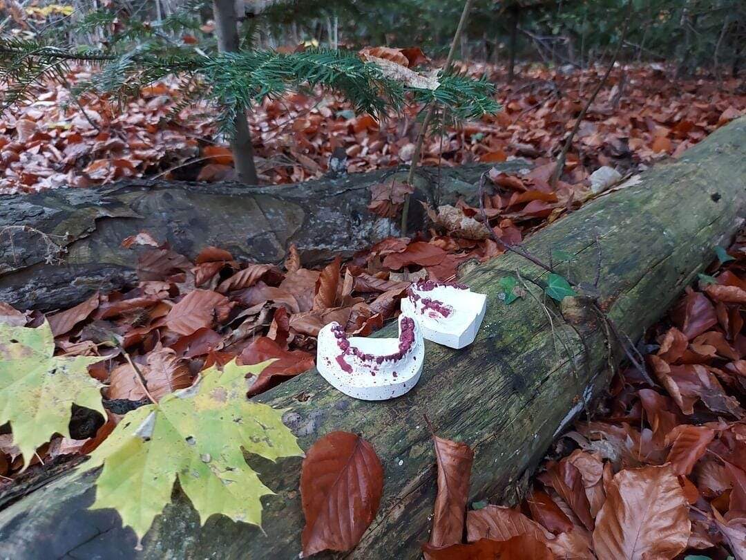 2024 11 16 Hvezdna Honba Za Pokladem