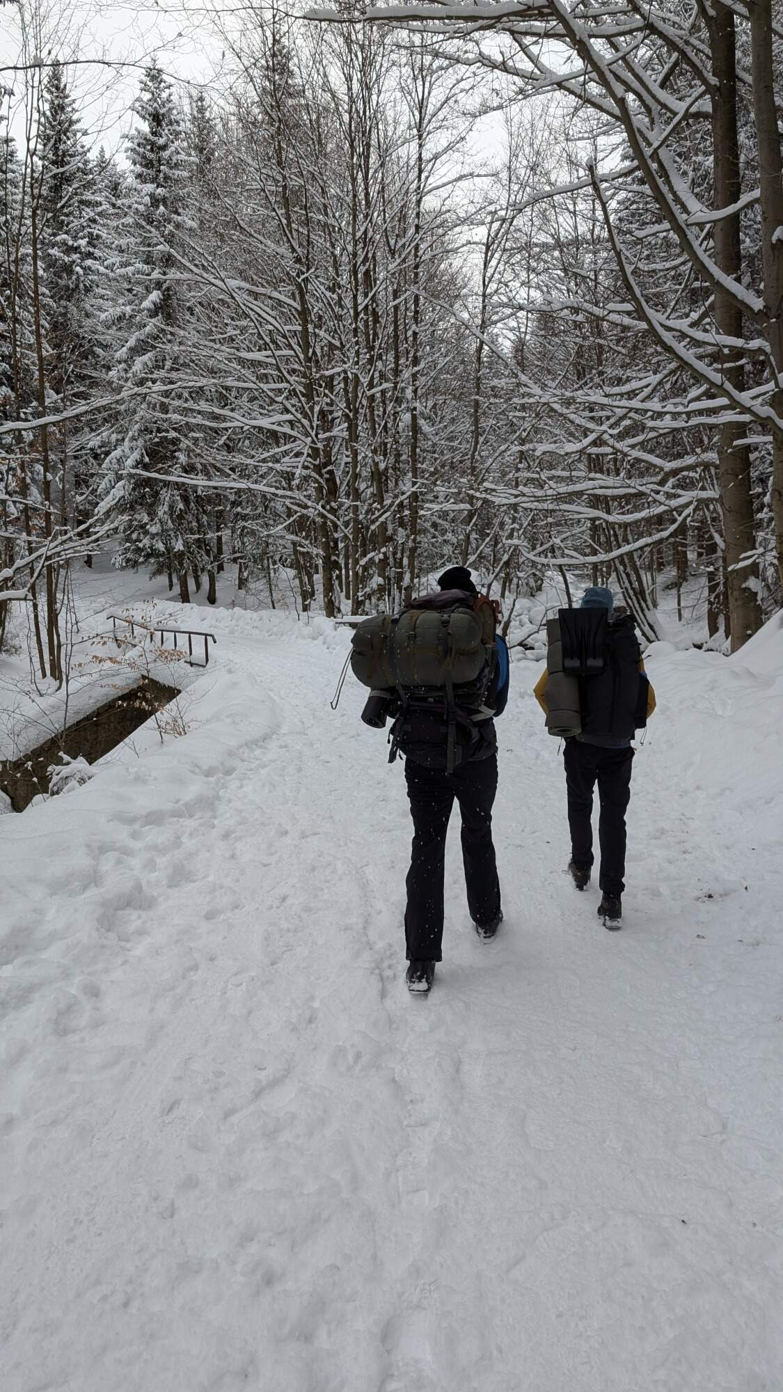 IMG 20250215 153212Dimib HDR