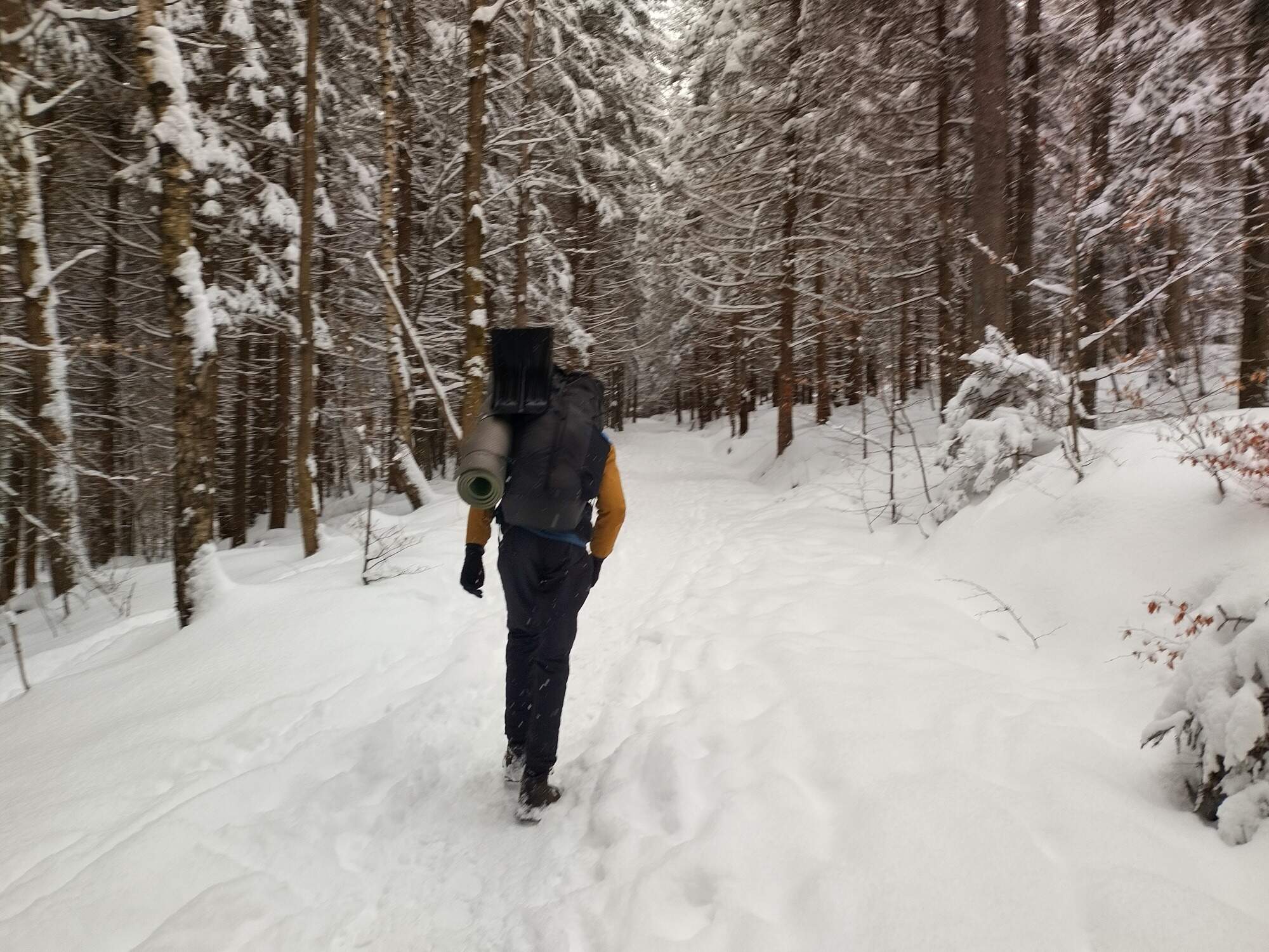 IMG 20250215 154942 HDR