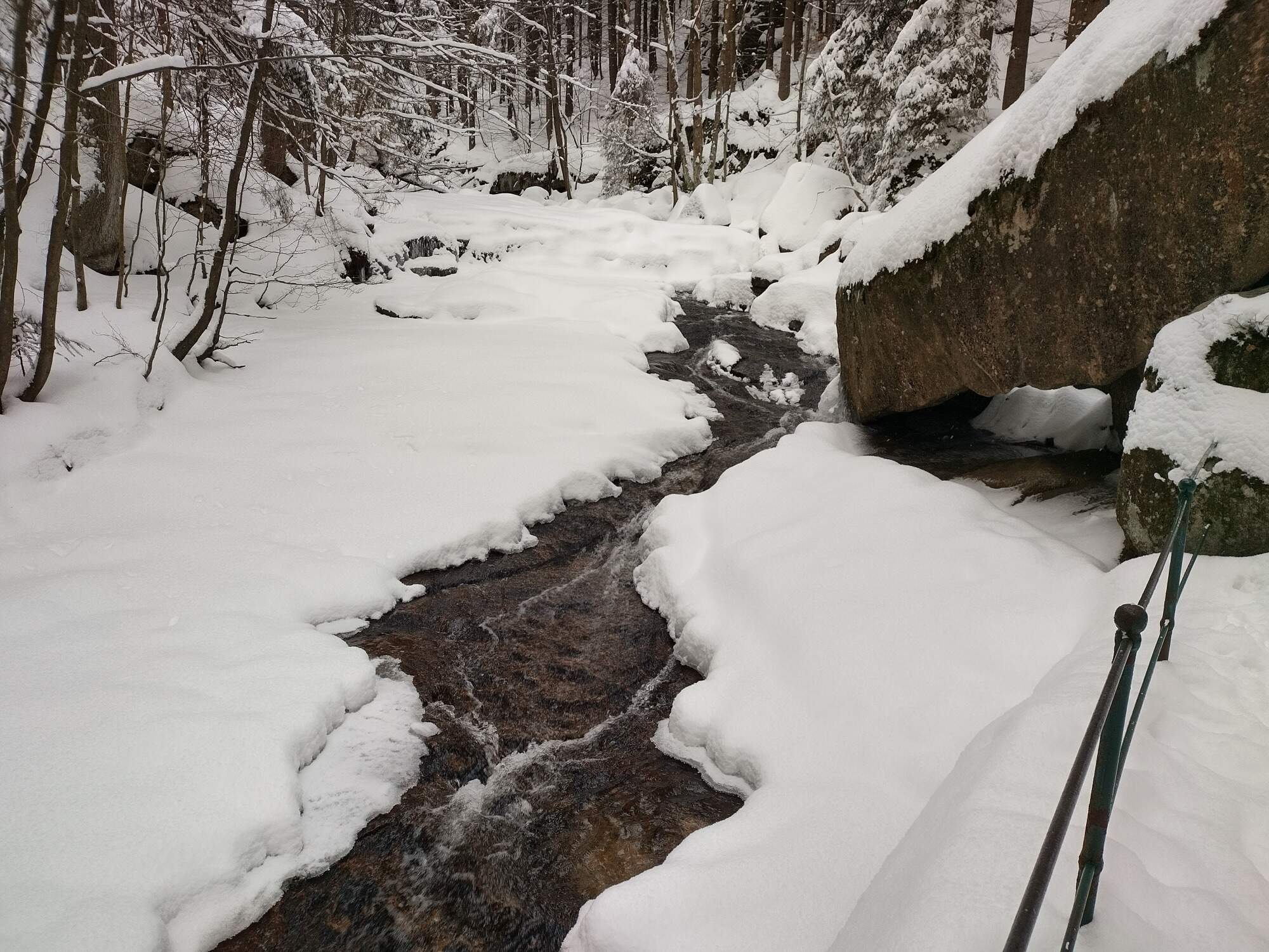 IMG 20250215 160040 HDR