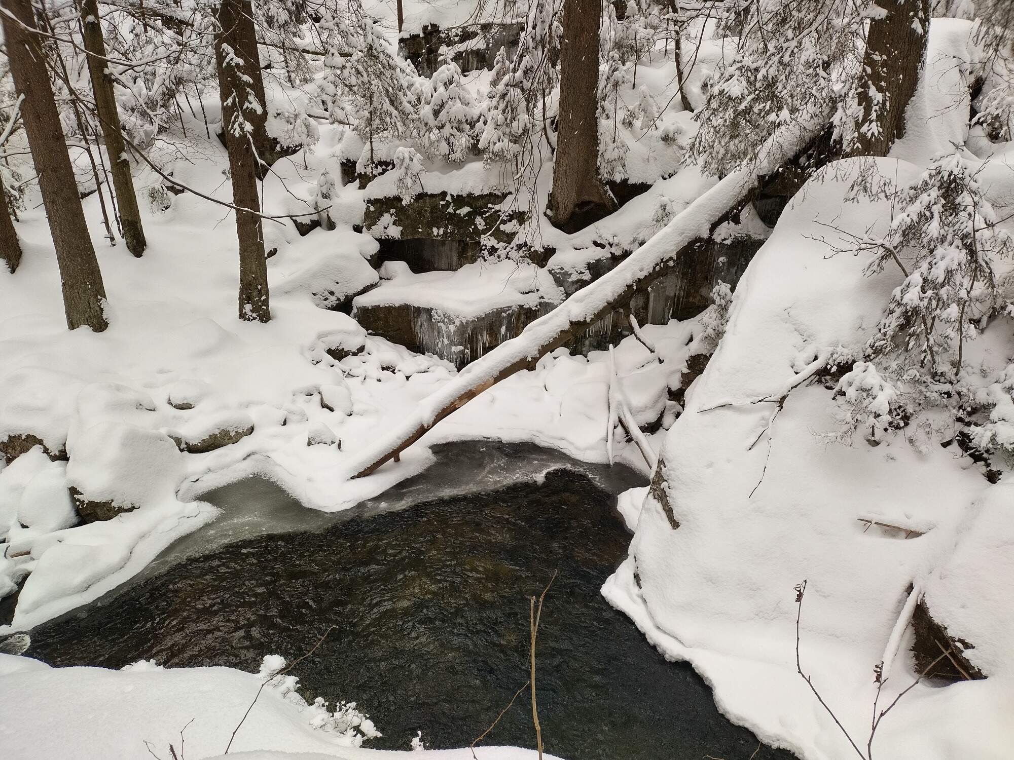 IMG 20250215 160048 HDR