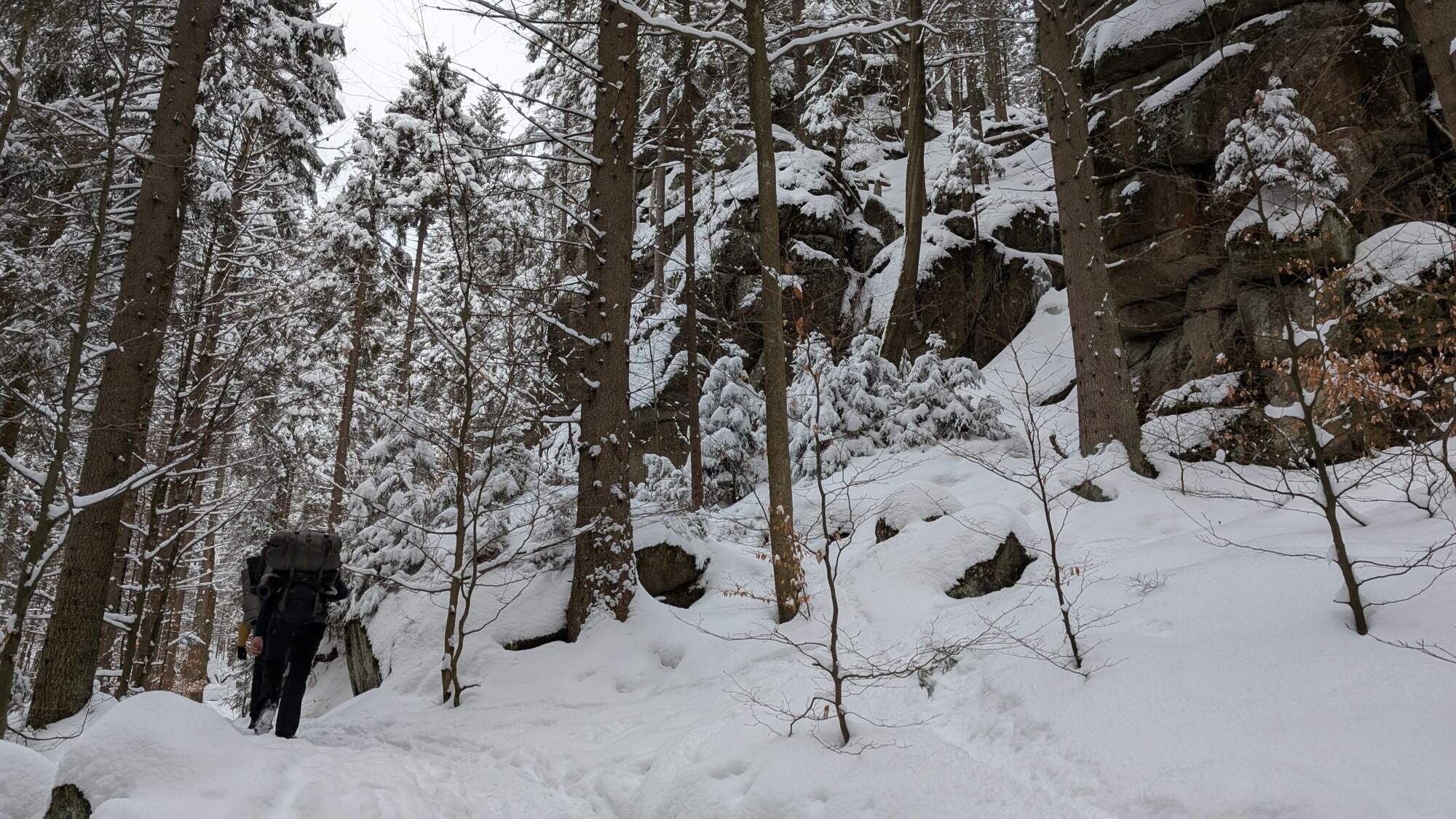 IMG 20250215 160851Dimi HDR