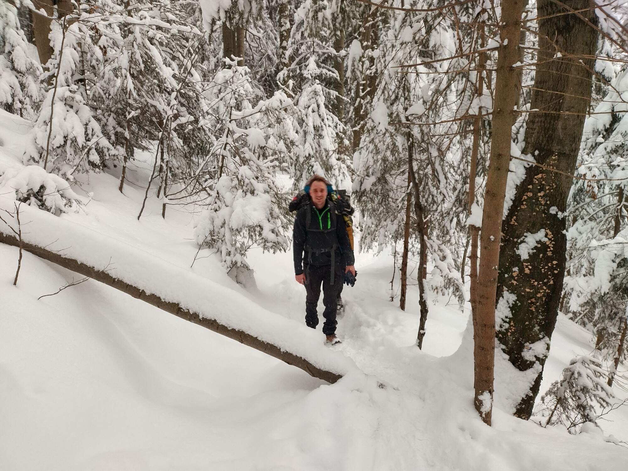 IMG 20250215 160851 HDR