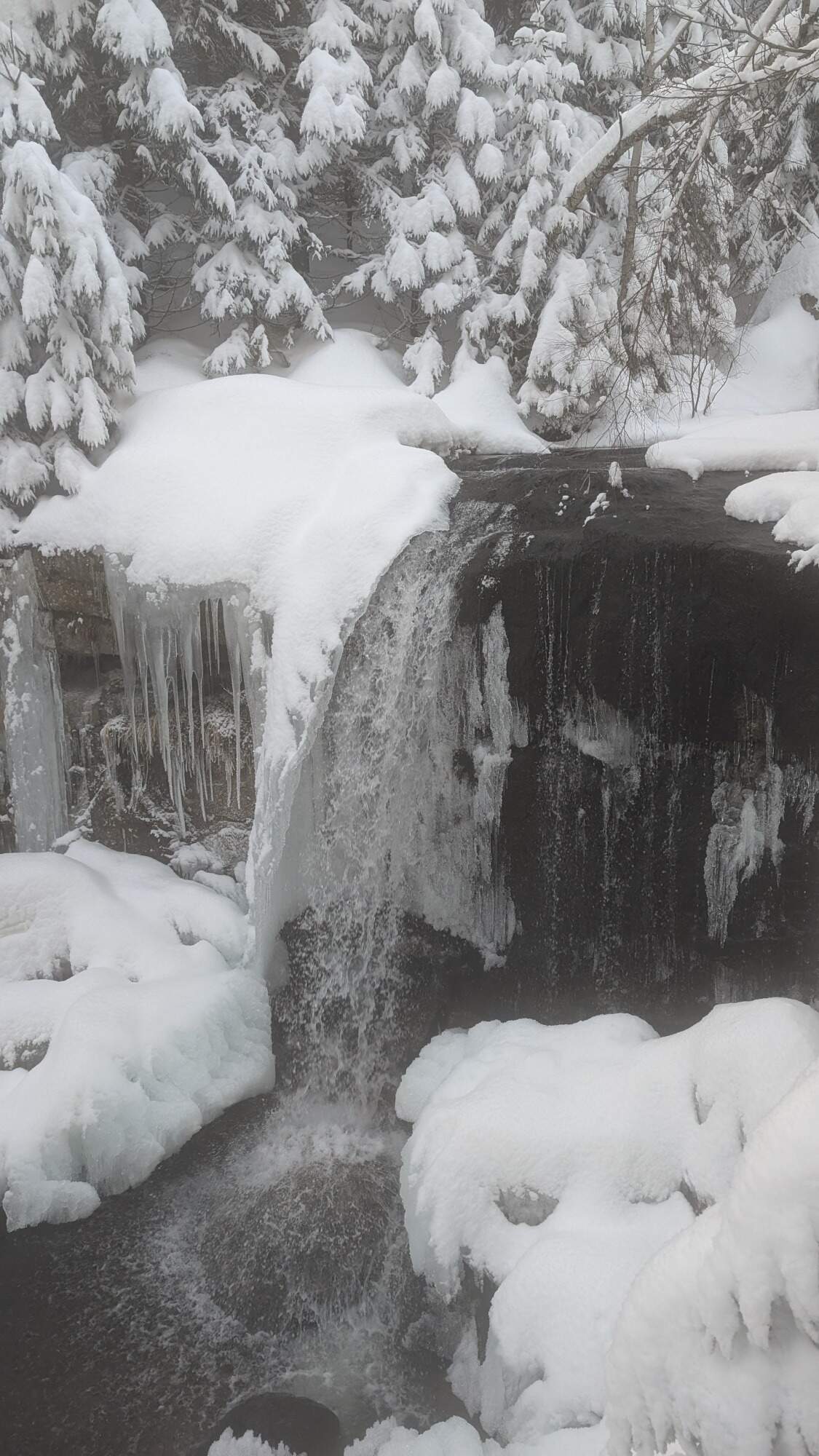 IMG 20250215 161643Dimi HDR