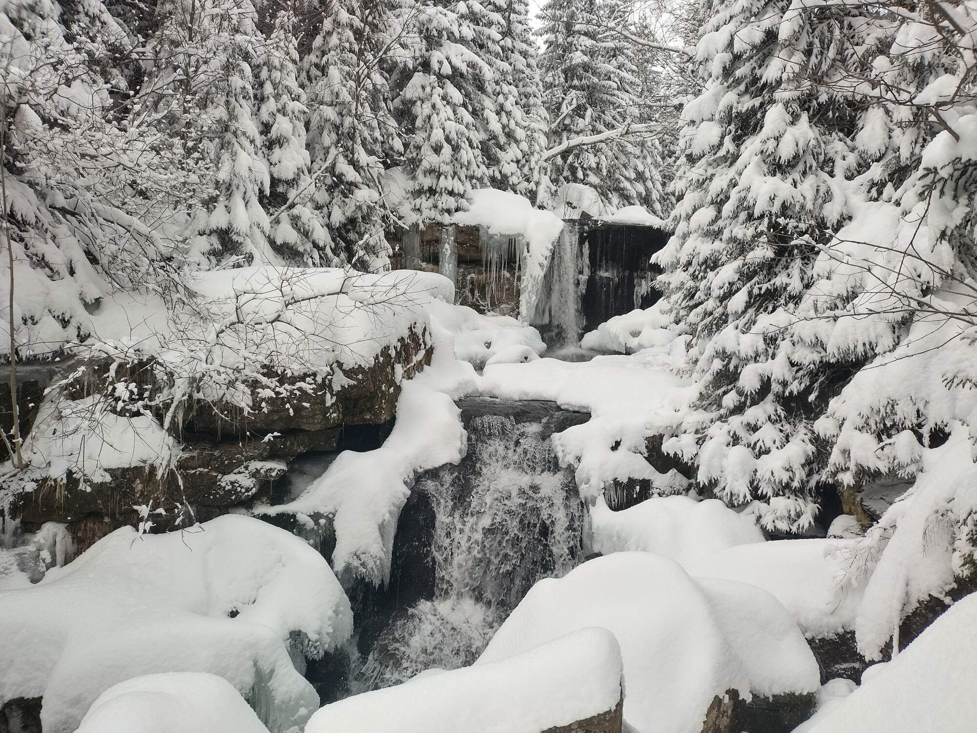 IMG 20250215 161643 HDR