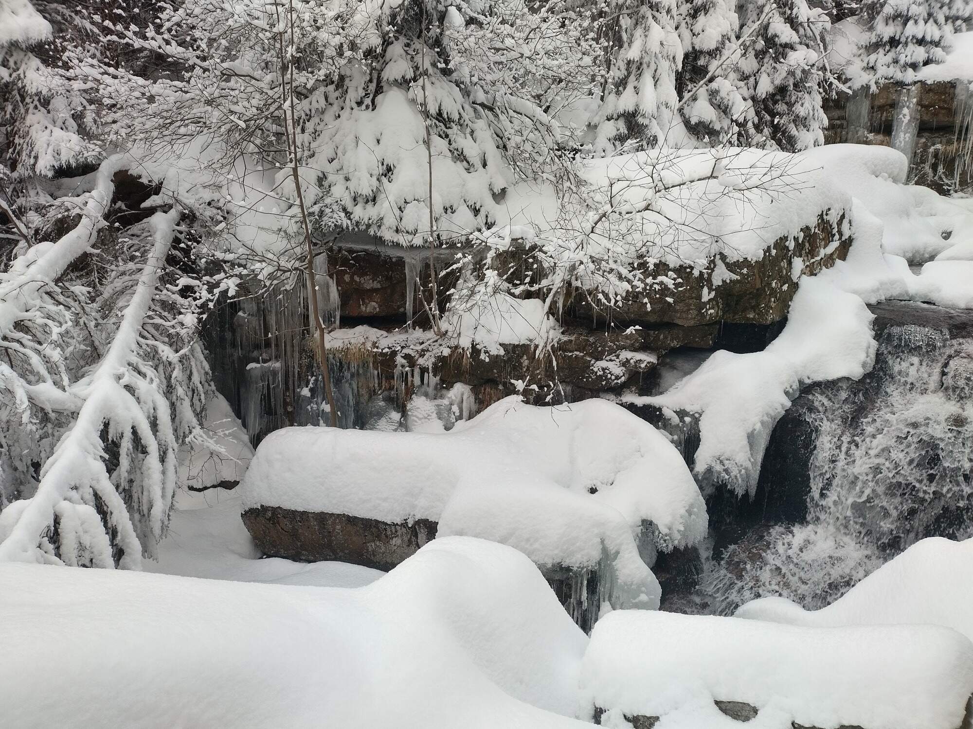 IMG 20250215 161718 HDR