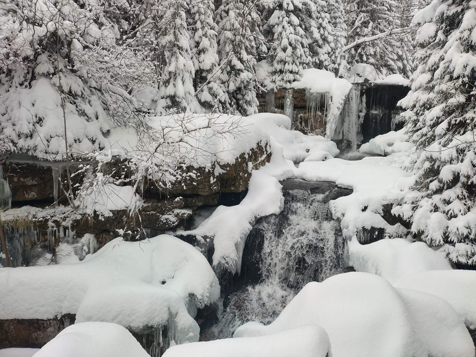 IMG 20250215 161720 HDR