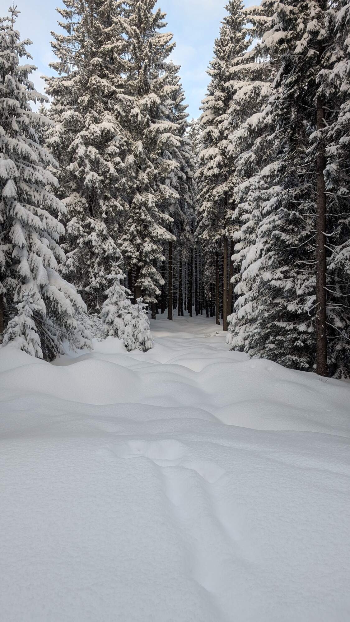 IMG 20250215 162035Dimi HDR