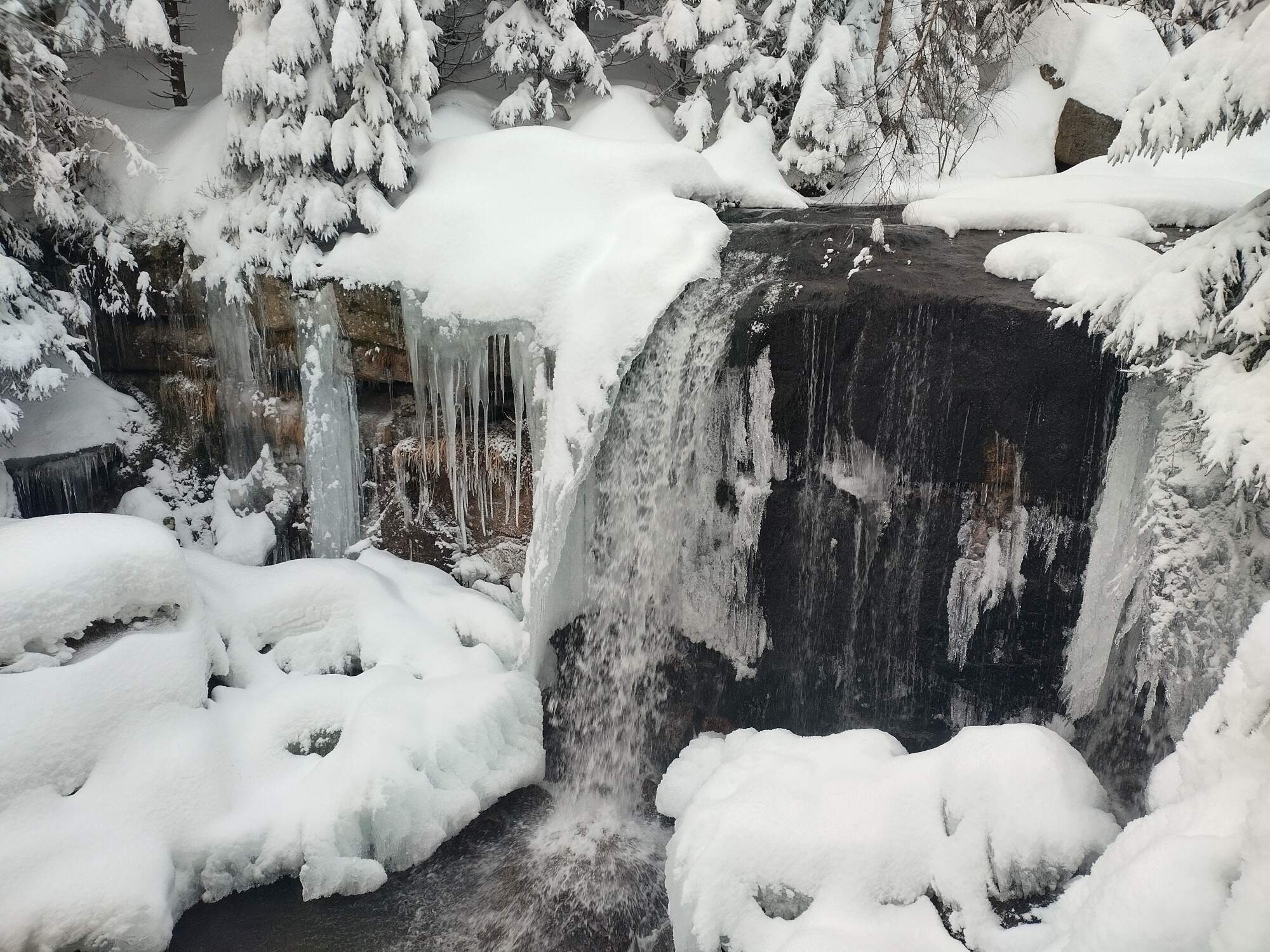 IMG 20250215 162035 HDR