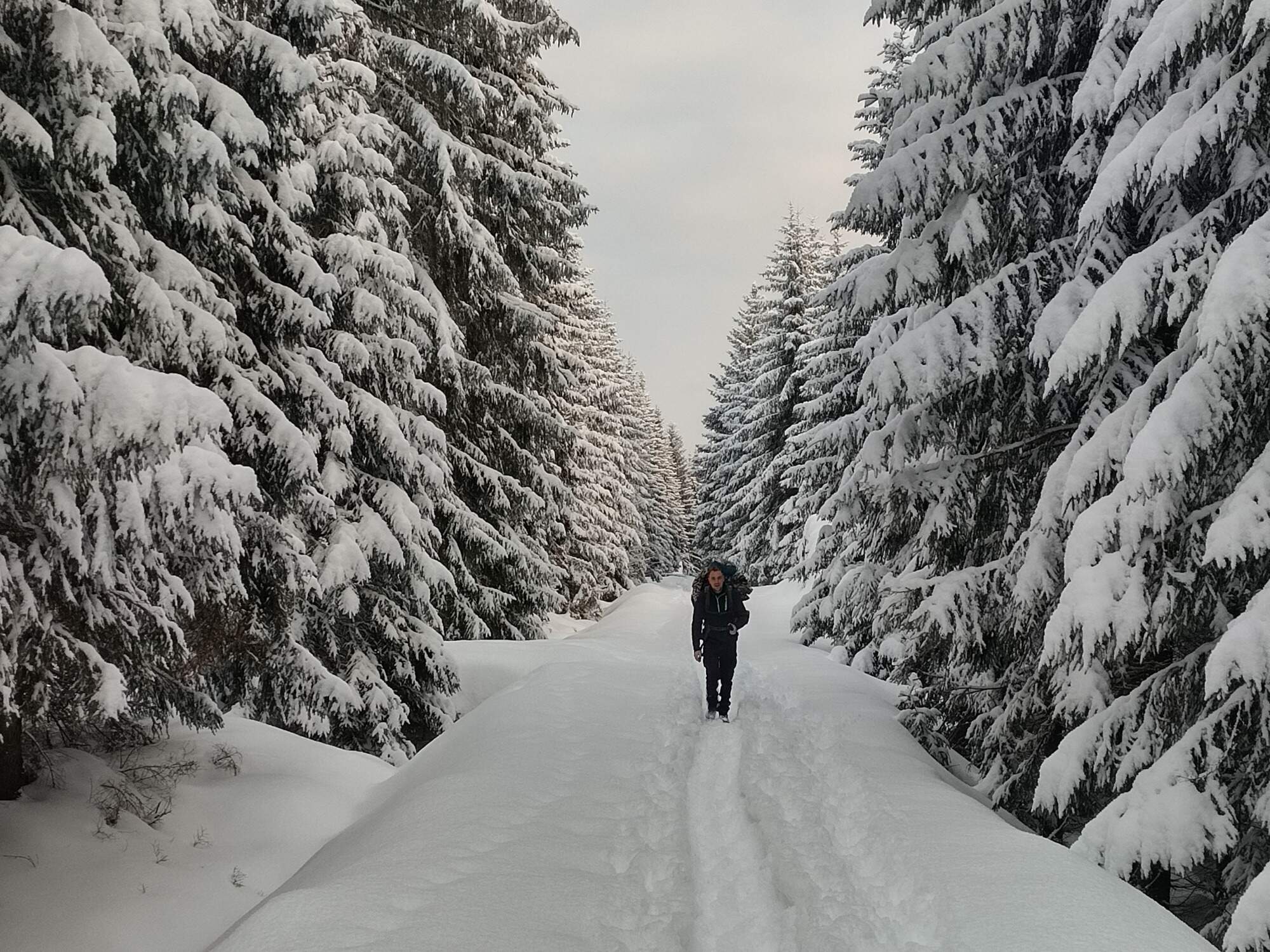 IMG 20250215 163802 HDR