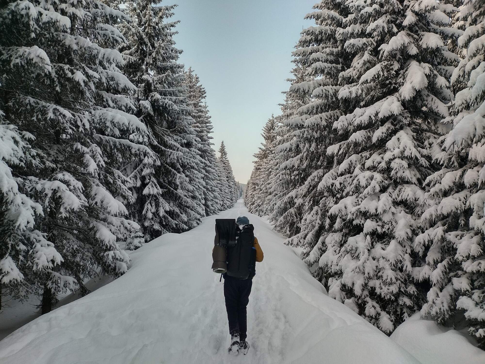 IMG 20250215 164056 HDR