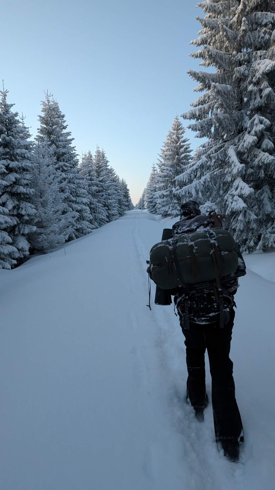 IMG 20250215 164945Dimi HDR