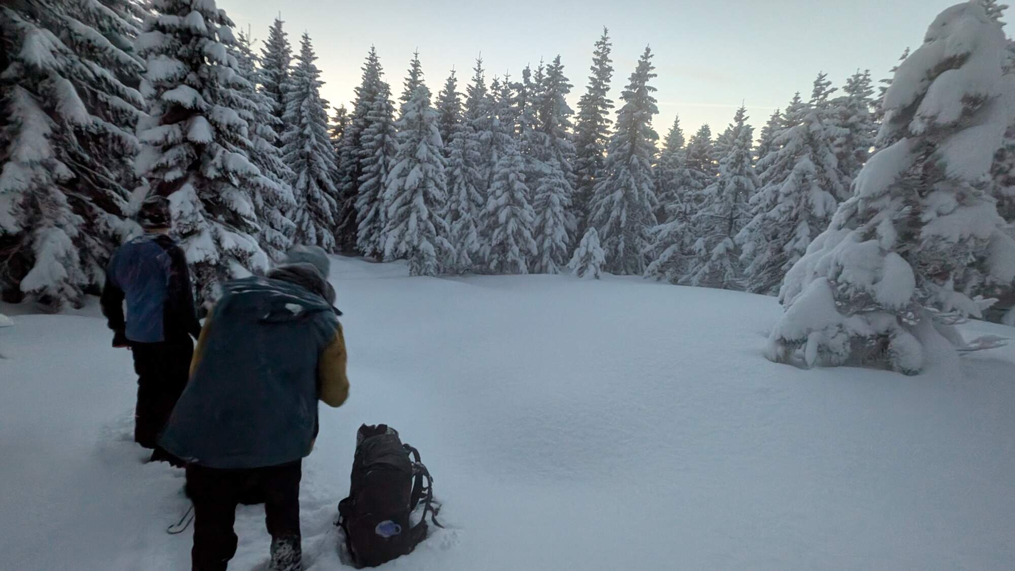 IMG 20250215 164945Dimib HDR