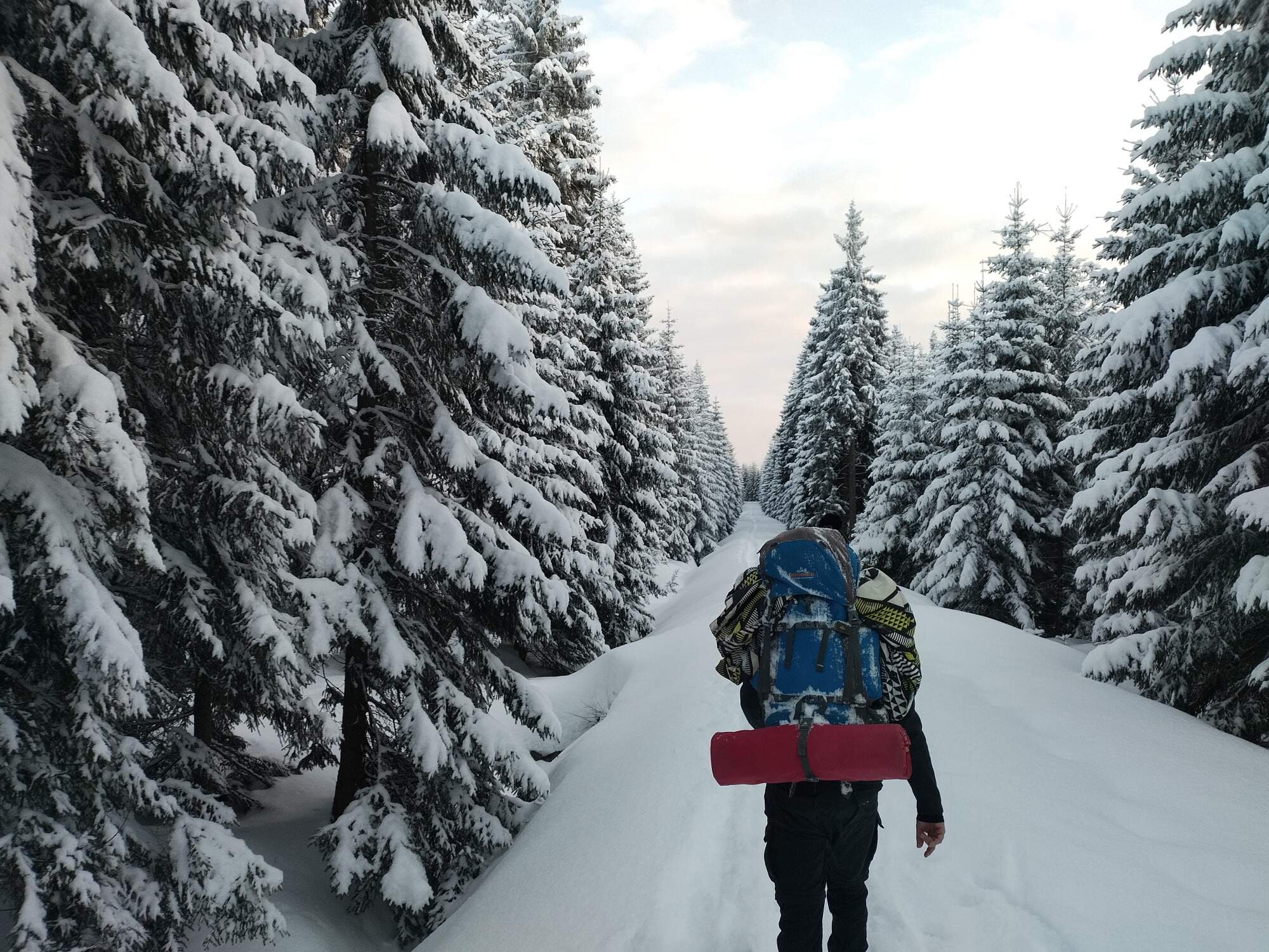 IMG 20250215 164945 HDR