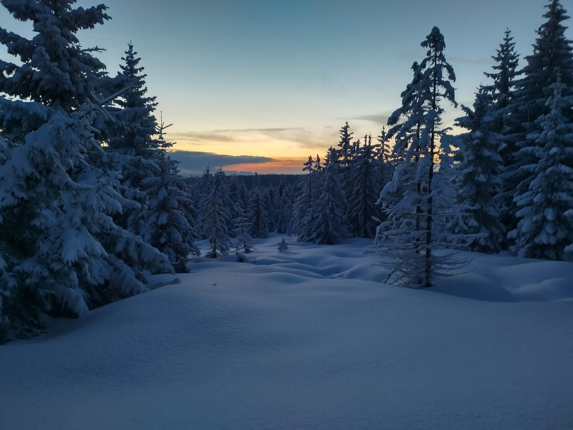 IMG 20250215 173935 HDR