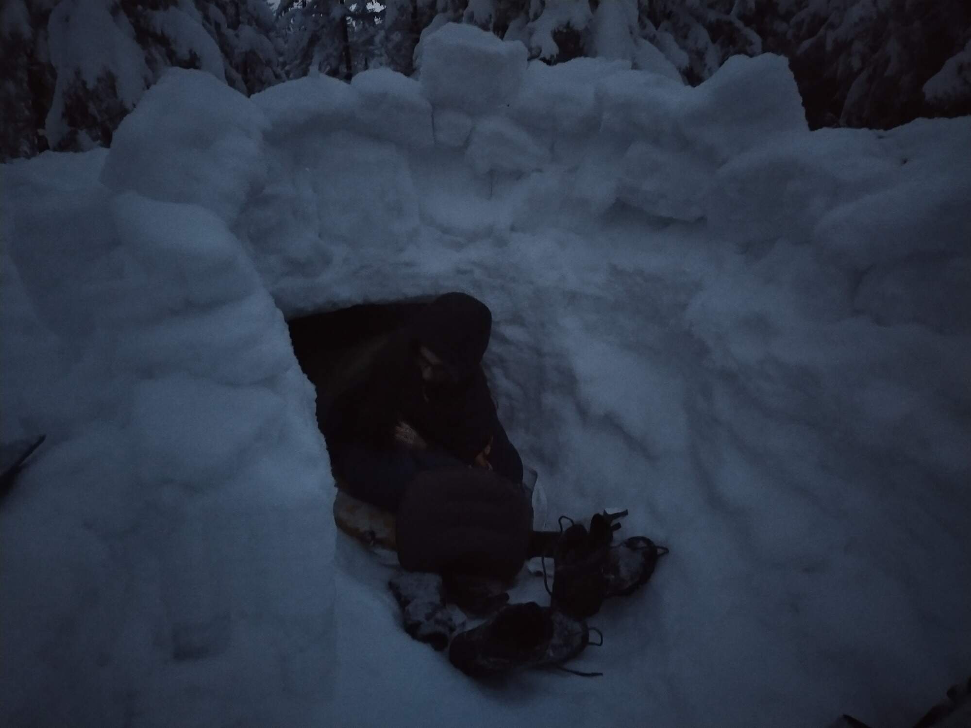 IMG 20250216 062938 HDR