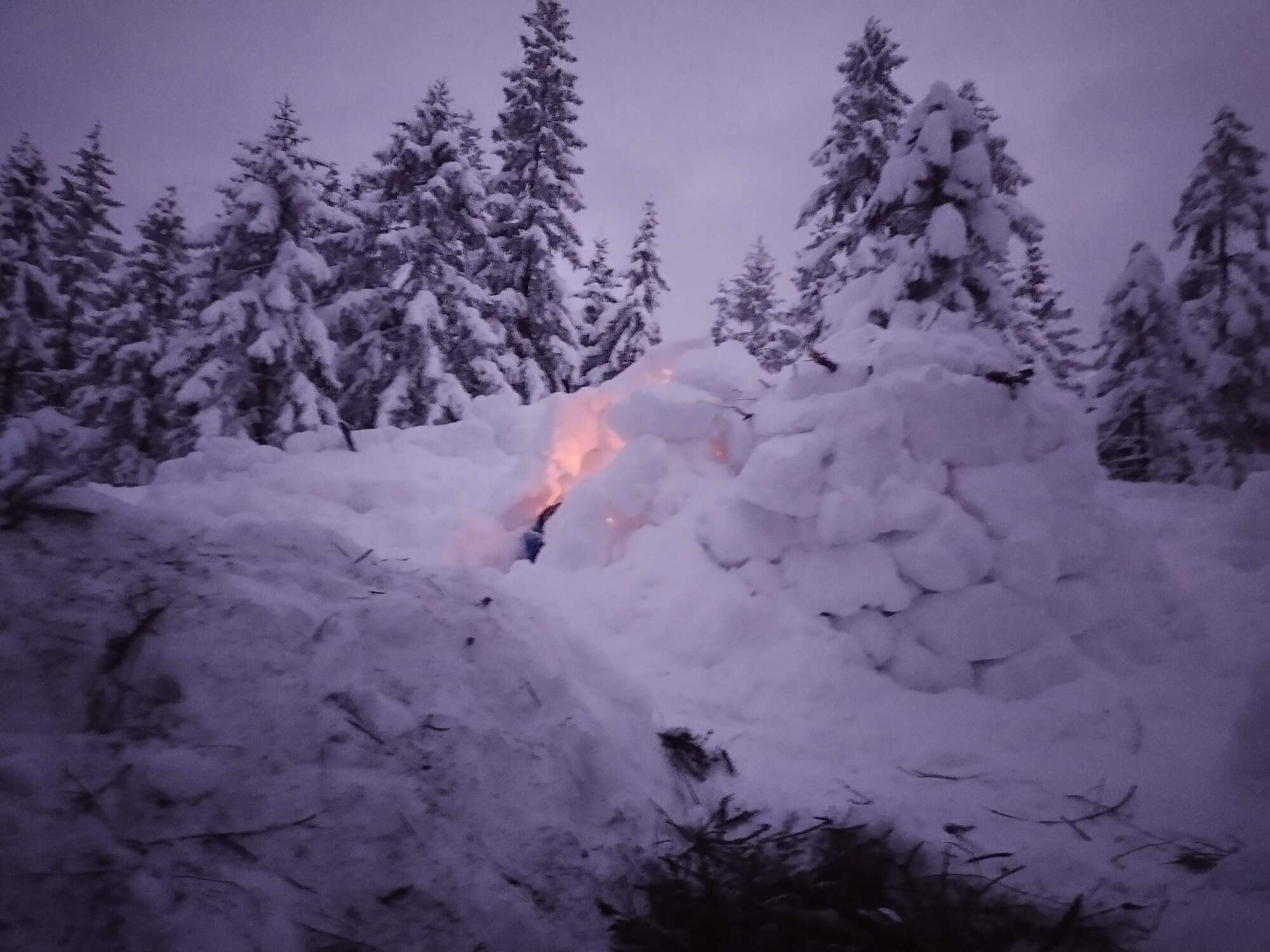 IMG 20250216 063306 HDR