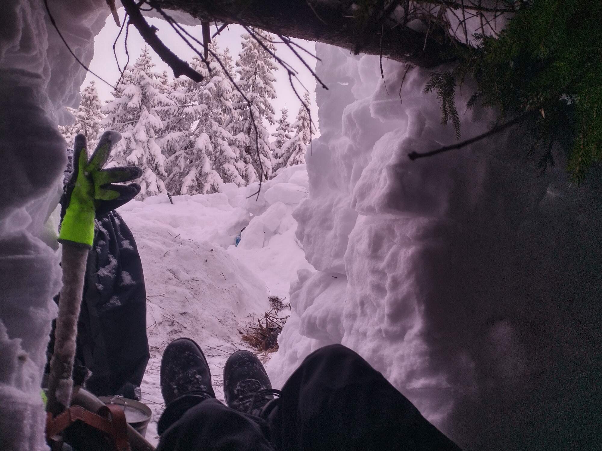 IMG 20250216 070645 HDR