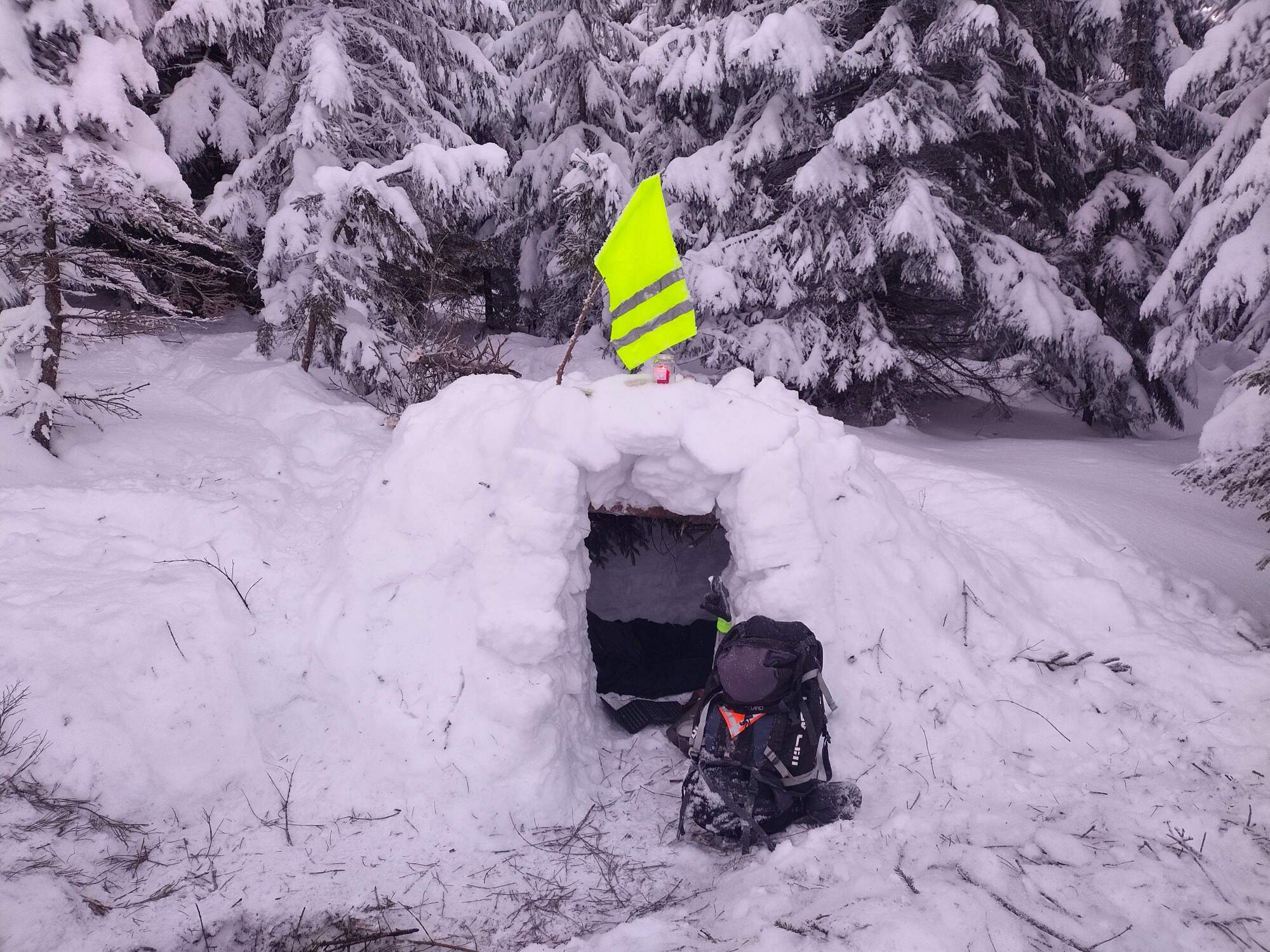 IMG 20250216 071601 HDR