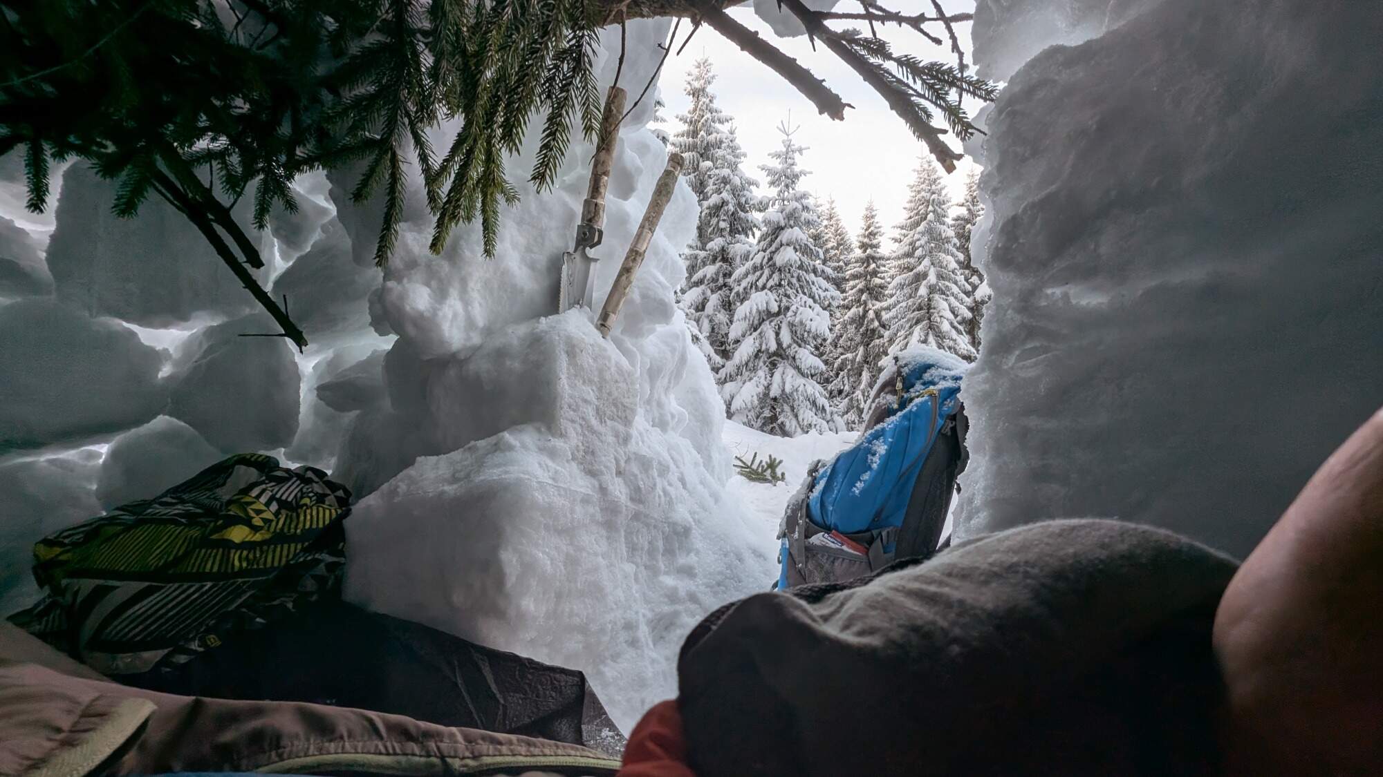 IMG 20250216 071608Dimib HDR