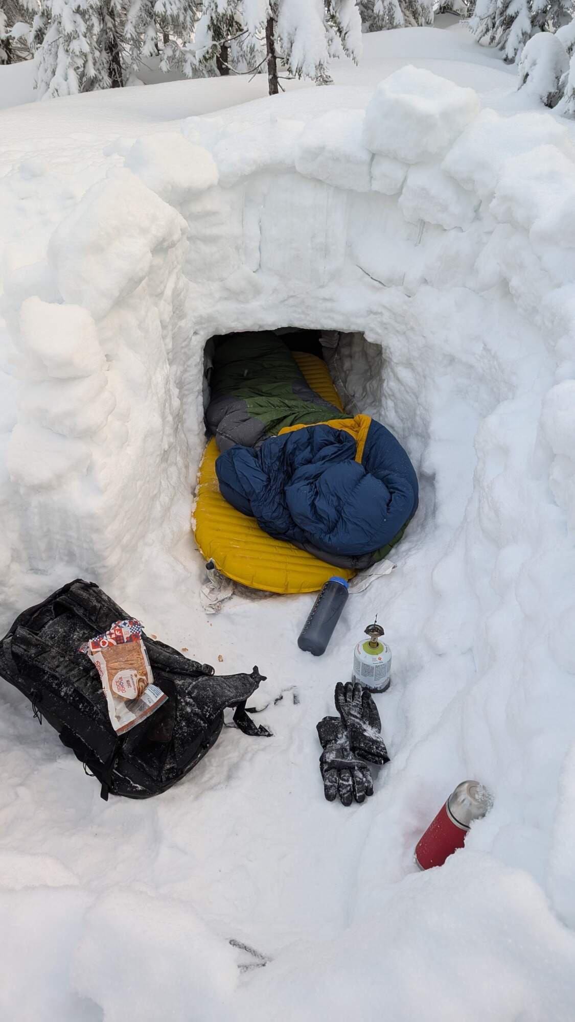 IMG 20250216 071608Dimid HDR