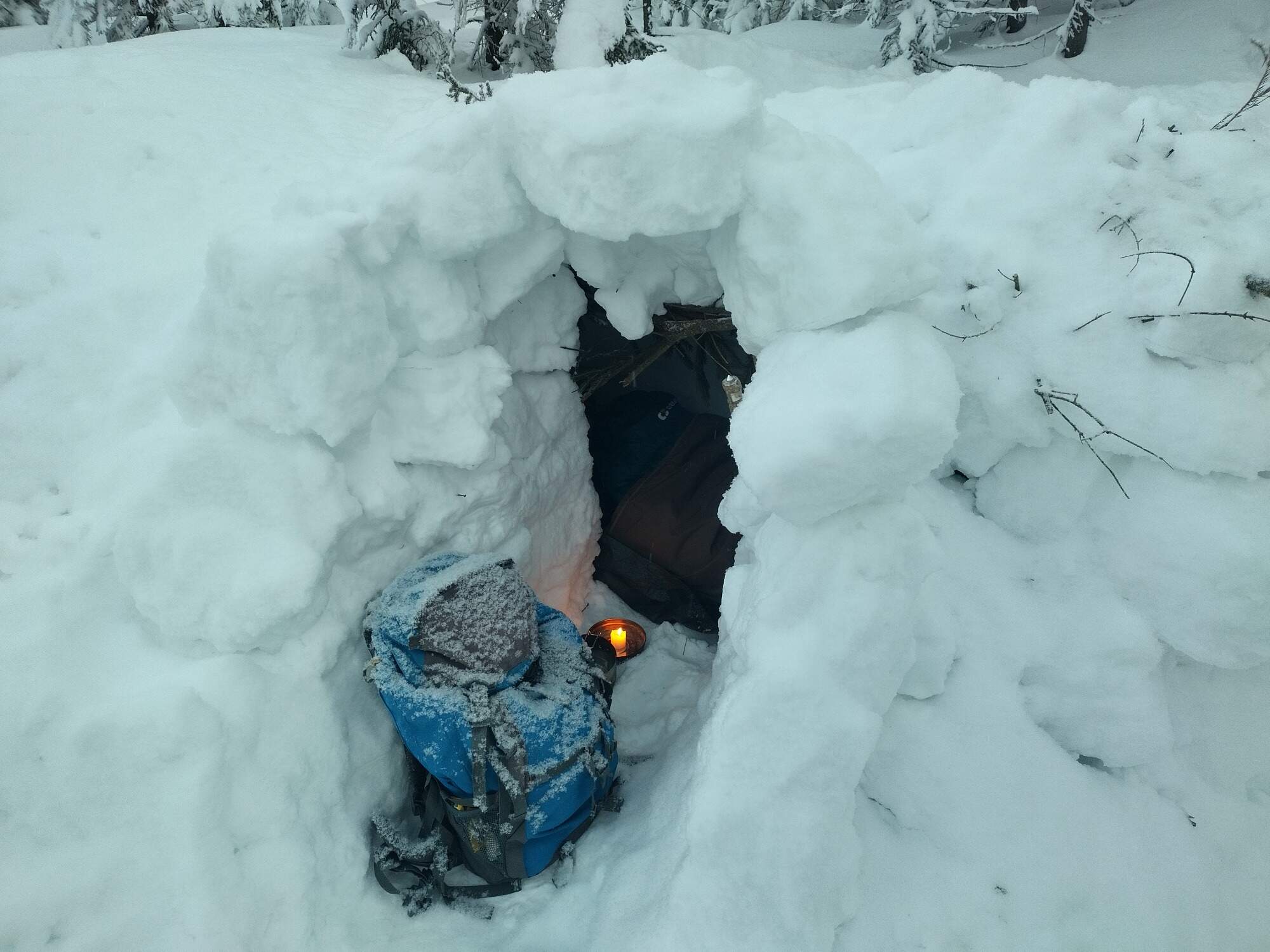 IMG 20250216 071608 HDR