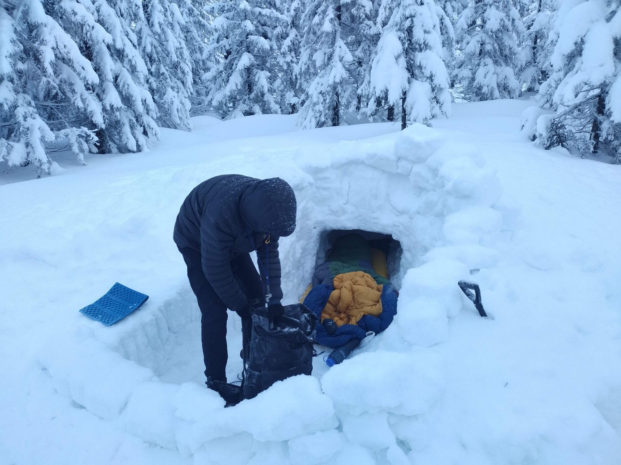 IMG 20250216 071614 HDR