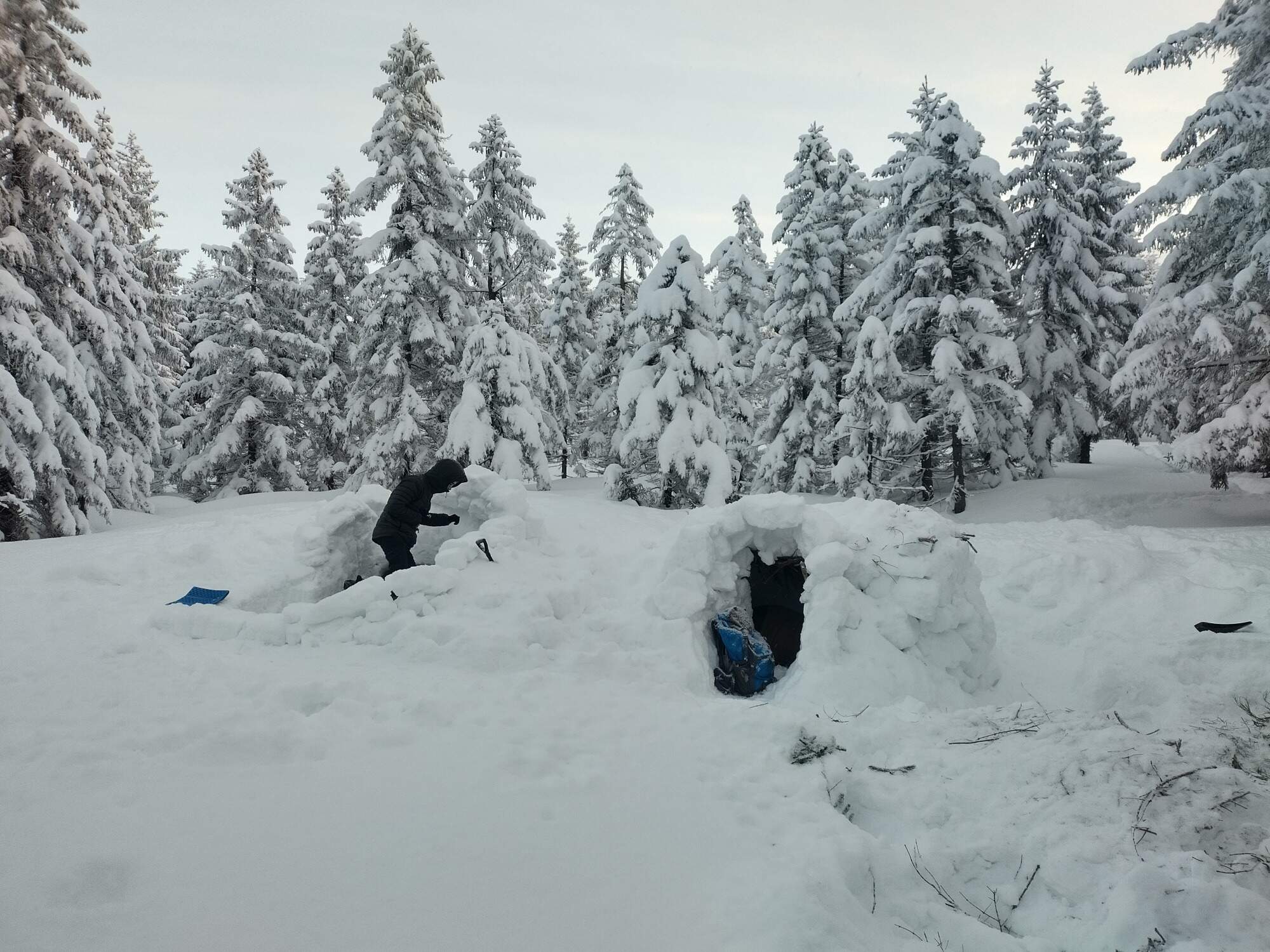 IMG 20250216 071718 HDR