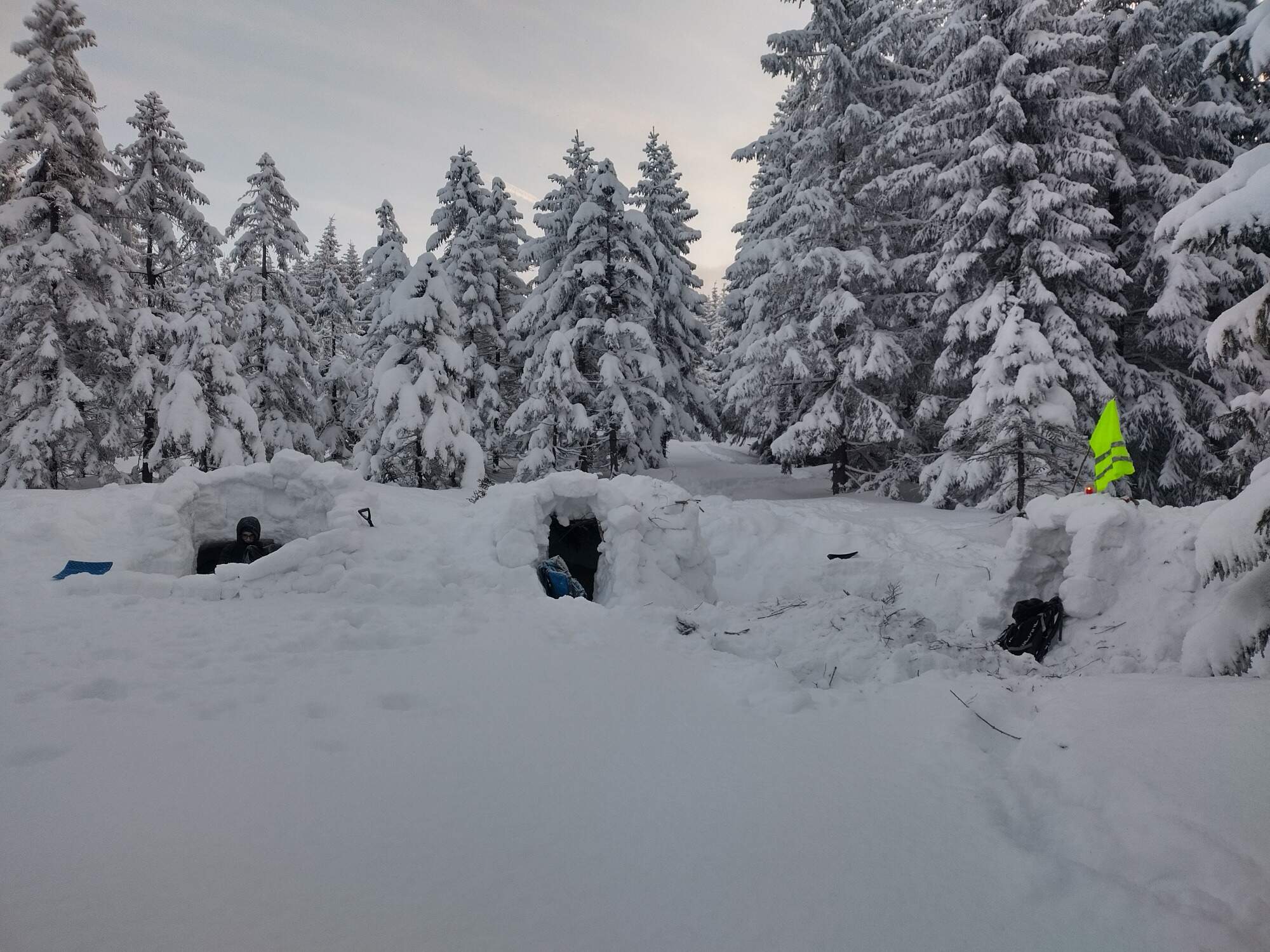 IMG 20250216 071739 HDR