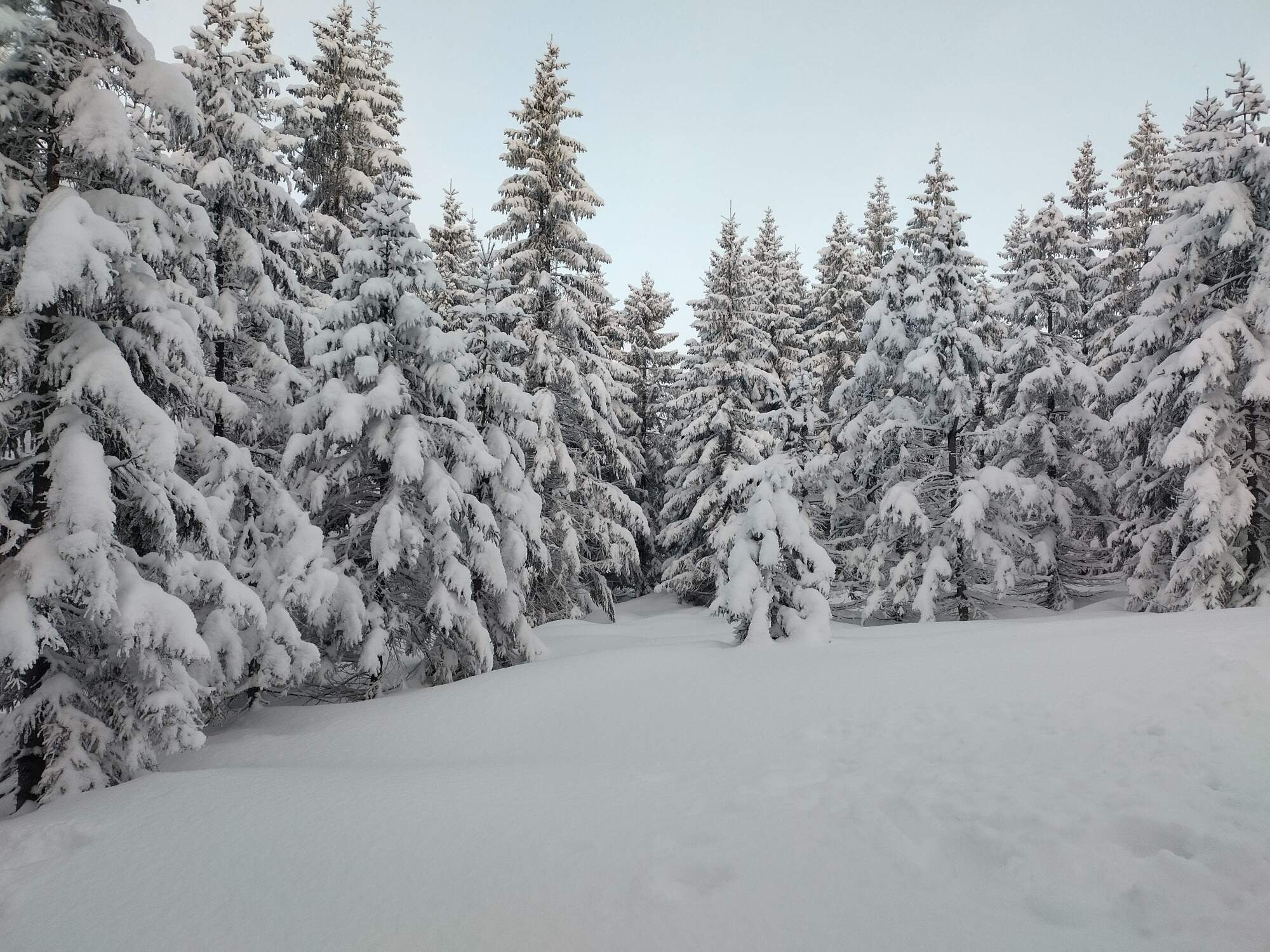 IMG 20250216 071752 HDR