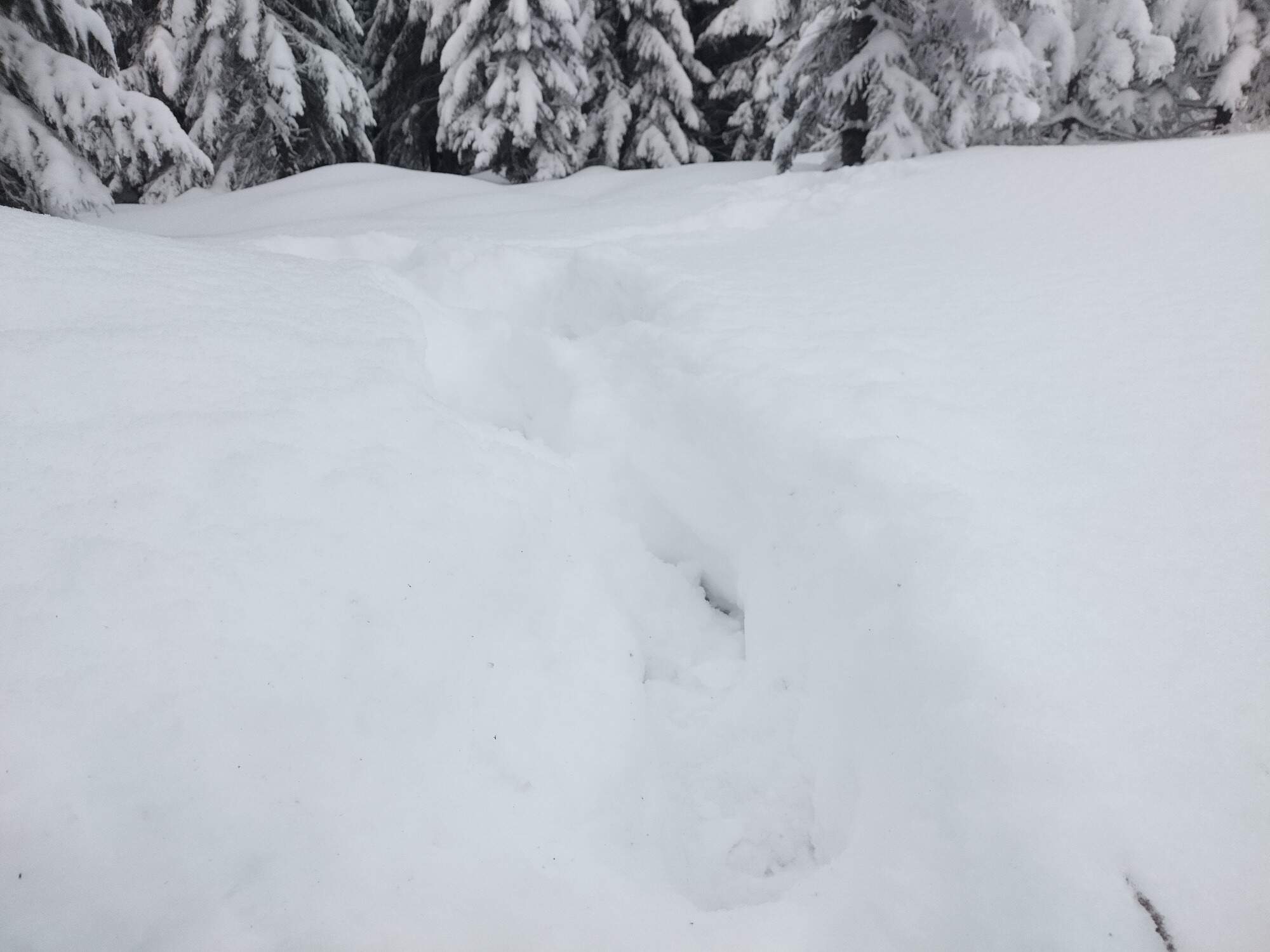 IMG 20250216 071757 HDR