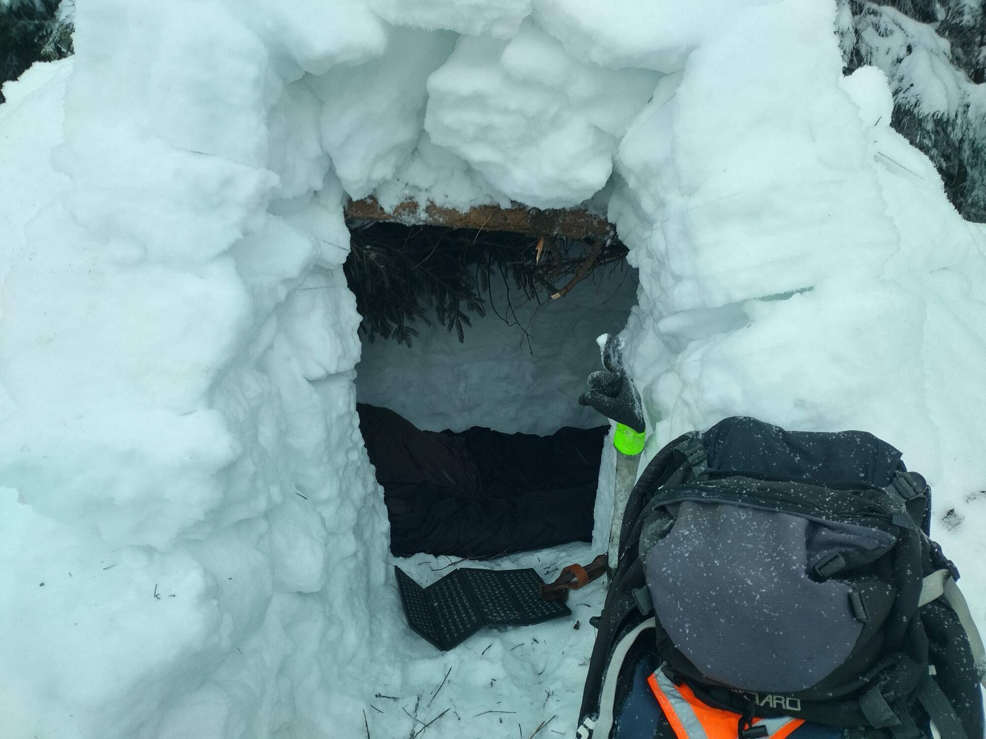 IMG 20250216 071840 HDR