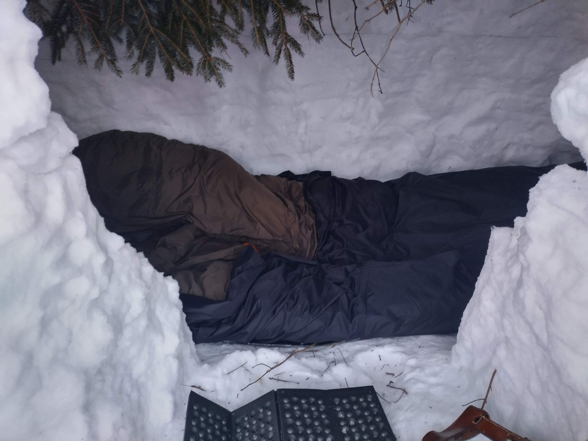 IMG 20250216 071846 HDR