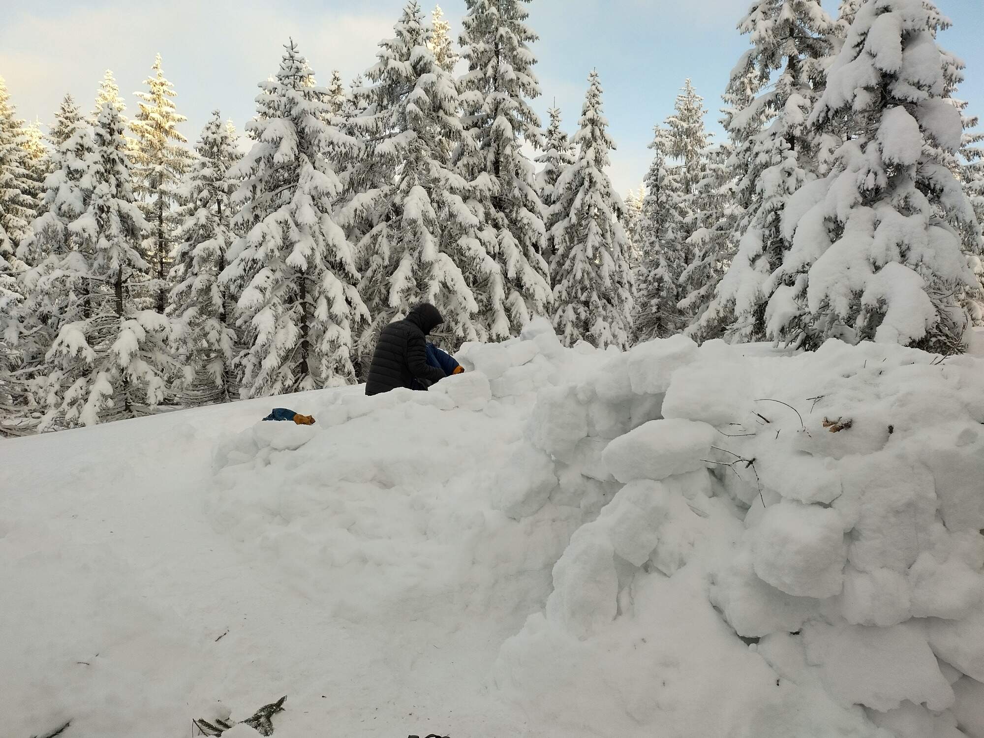 IMG 20250216 075648 HDR