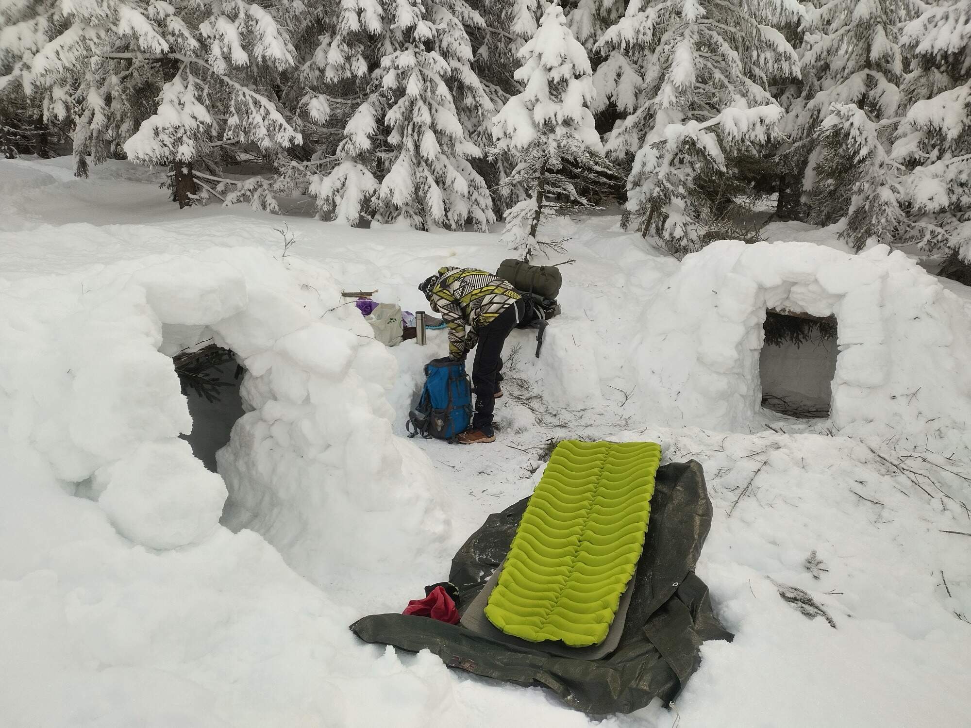 IMG 20250216 085421 HDR