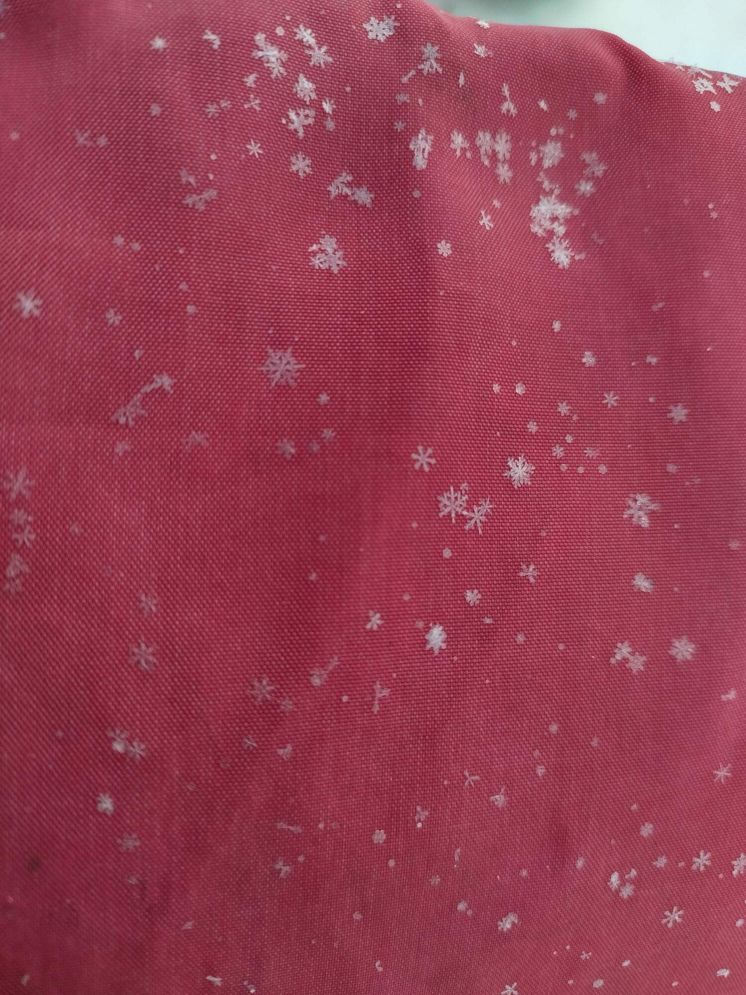 IMG 20250216 091249 HDR