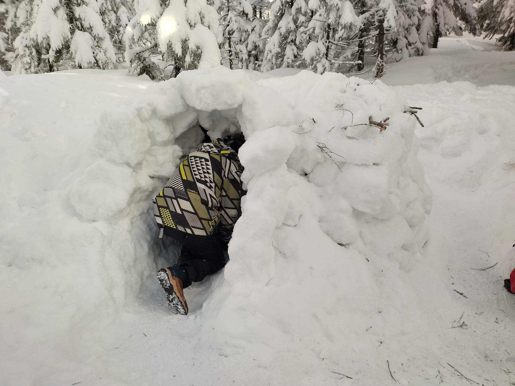 IMG 20250216 092650 HDR