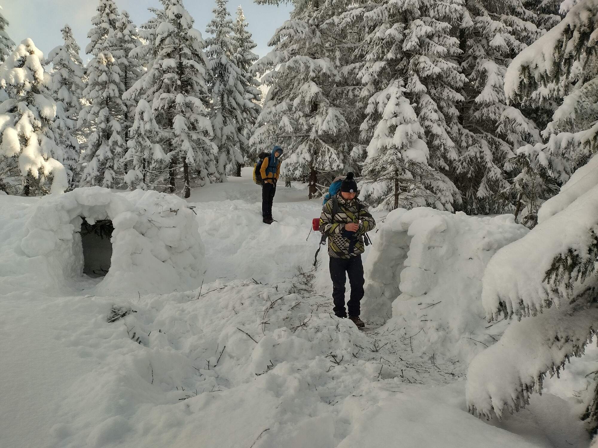 IMG 20250216 093233 HDR