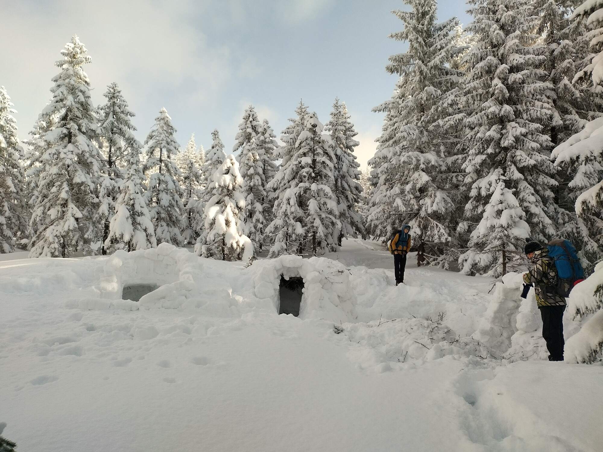 IMG 20250216 093247 HDR