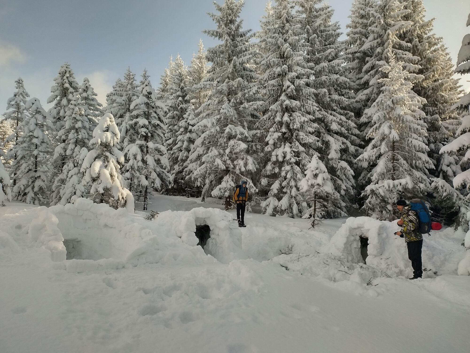 IMG 20250216 093302 HDR