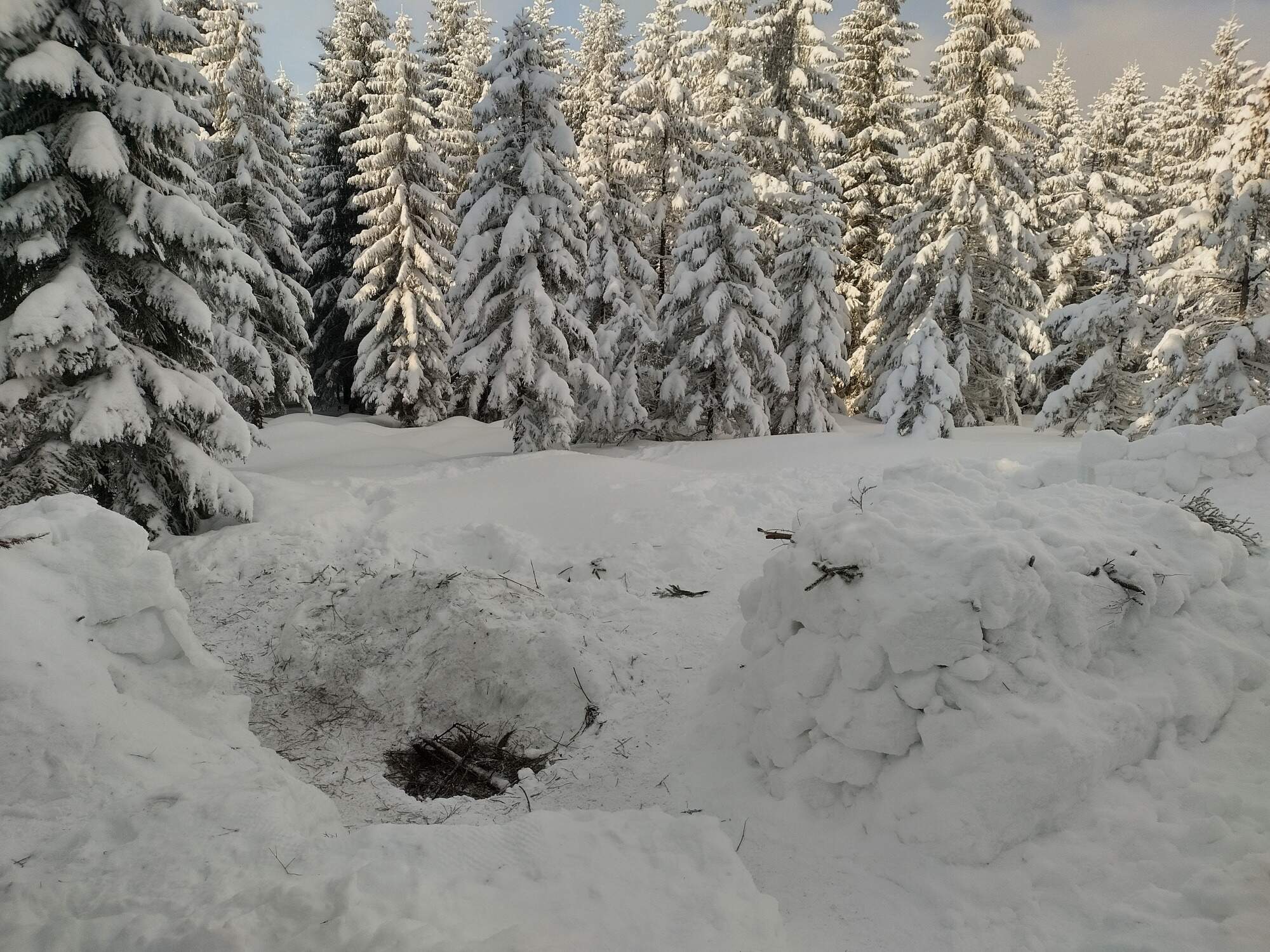 IMG 20250216 093412 HDR