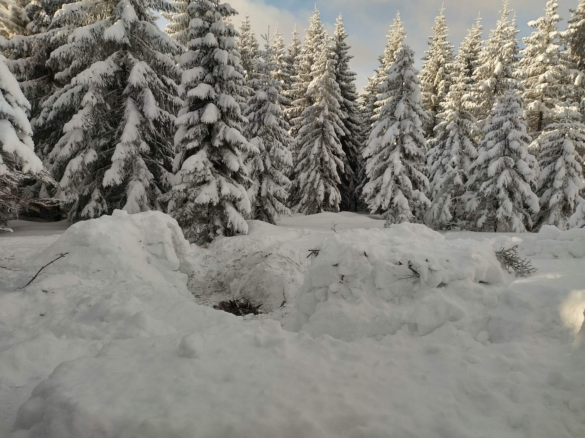 IMG 20250216 093423 HDR