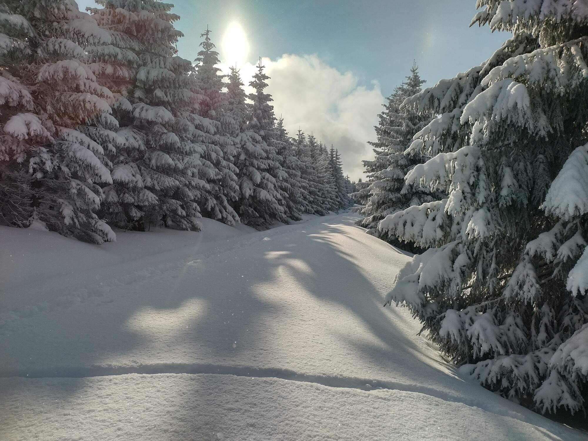 IMG 20250216 093610 HDR