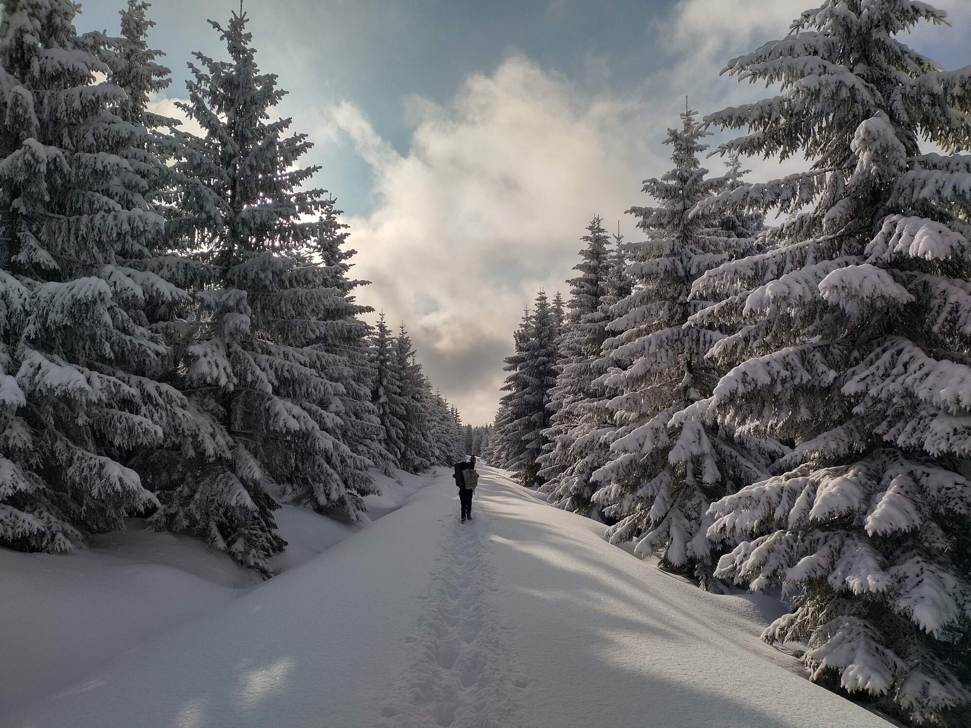 IMG 20250216 093951 HDR