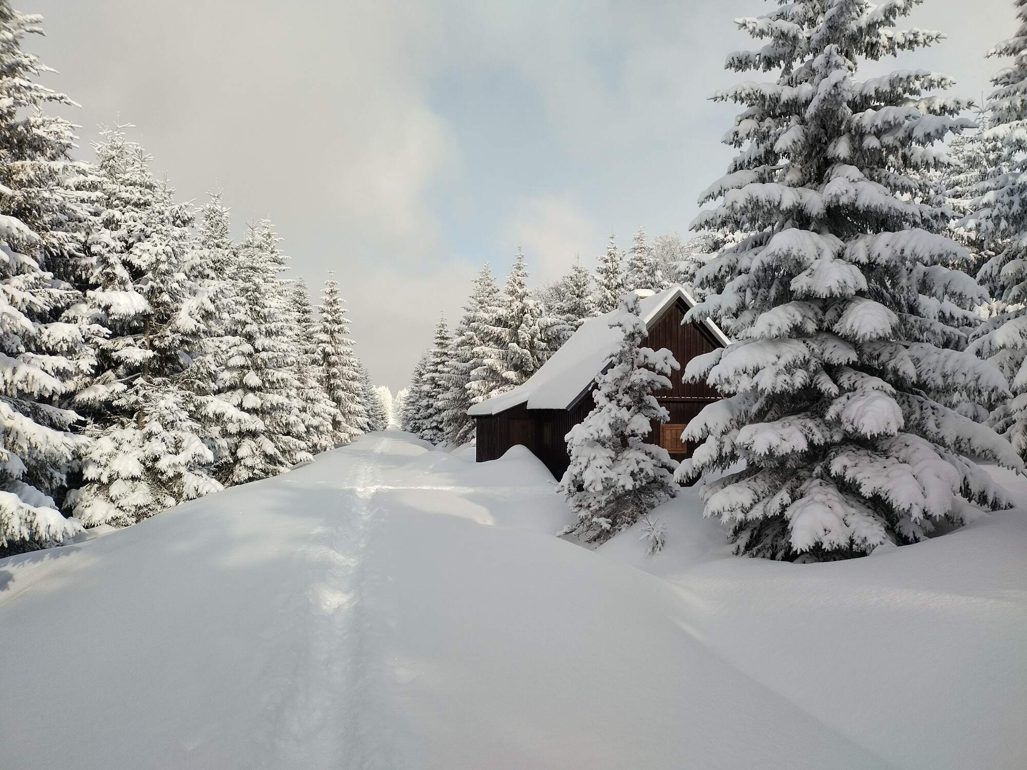 IMG 20250216 093955 HDR