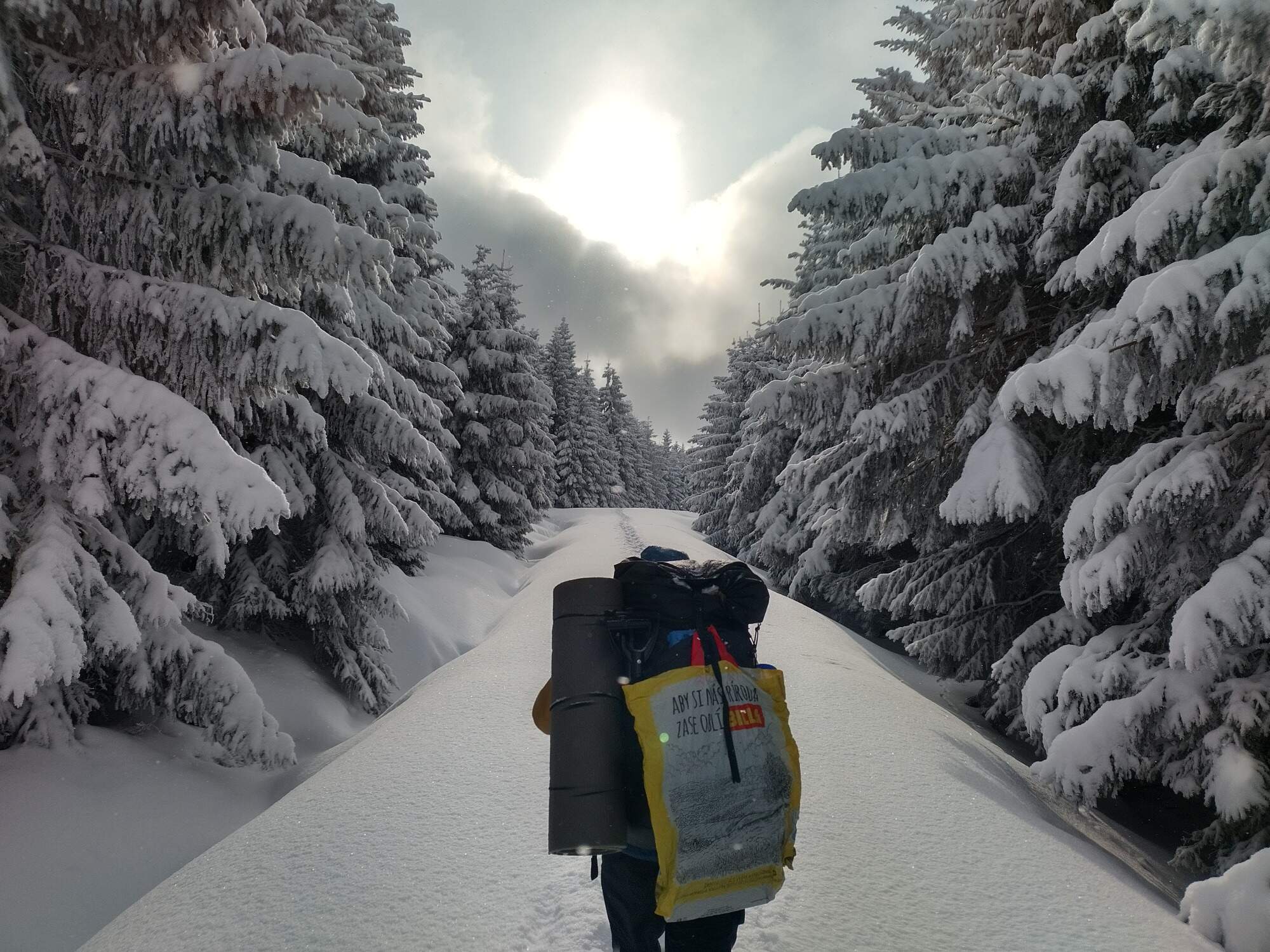 IMG 20250216 094611 HDR