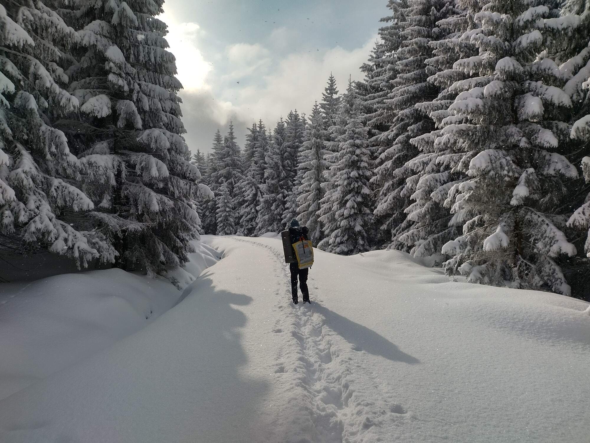 IMG 20250216 095117 HDR