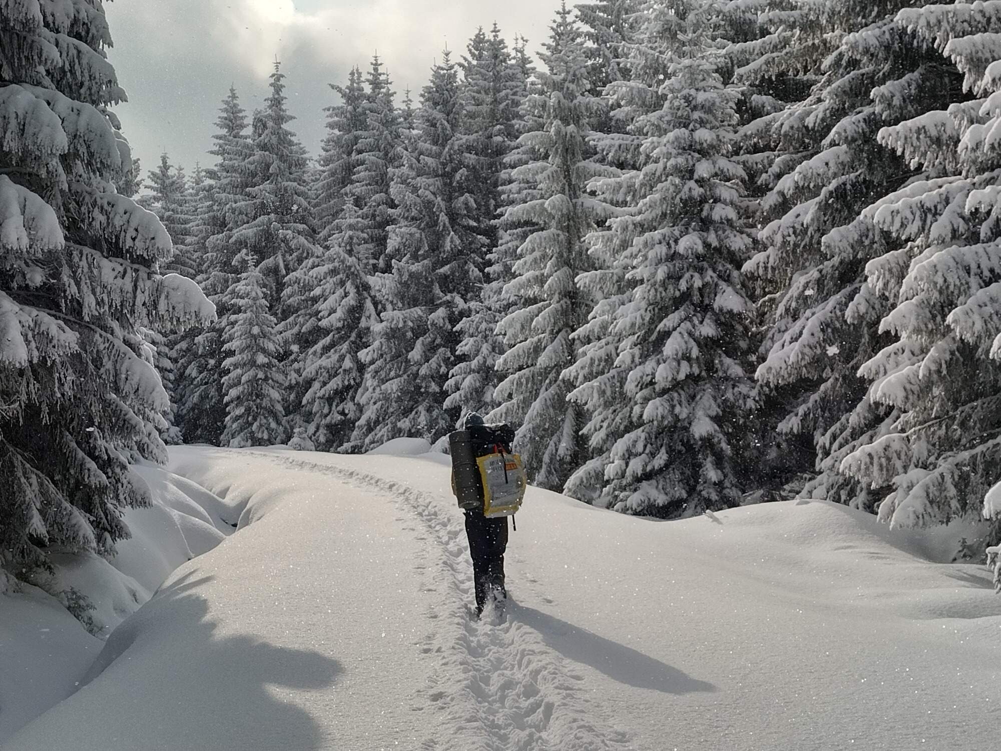 IMG 20250216 095121 HDR