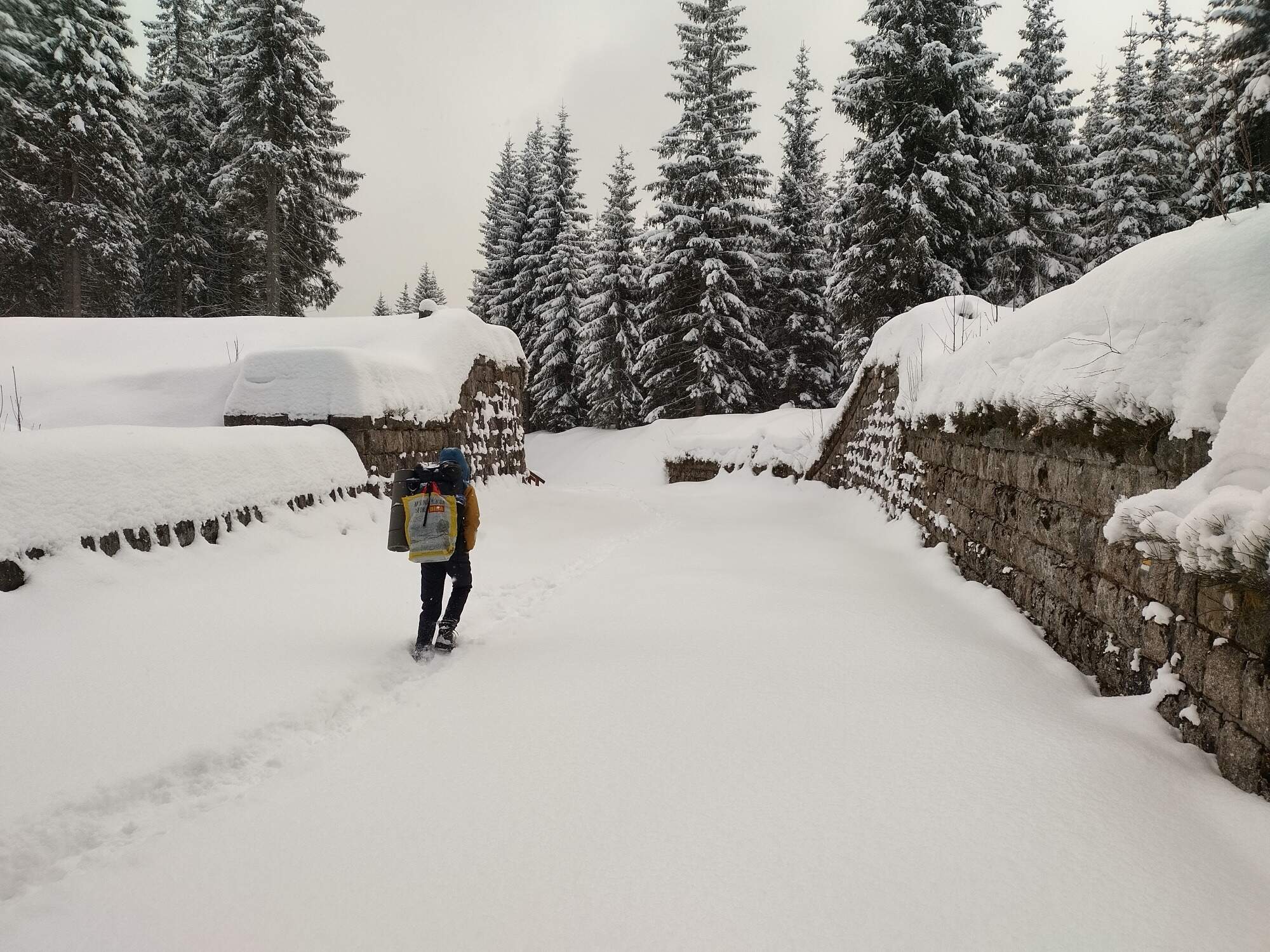 IMG 20250216 103751 HDR