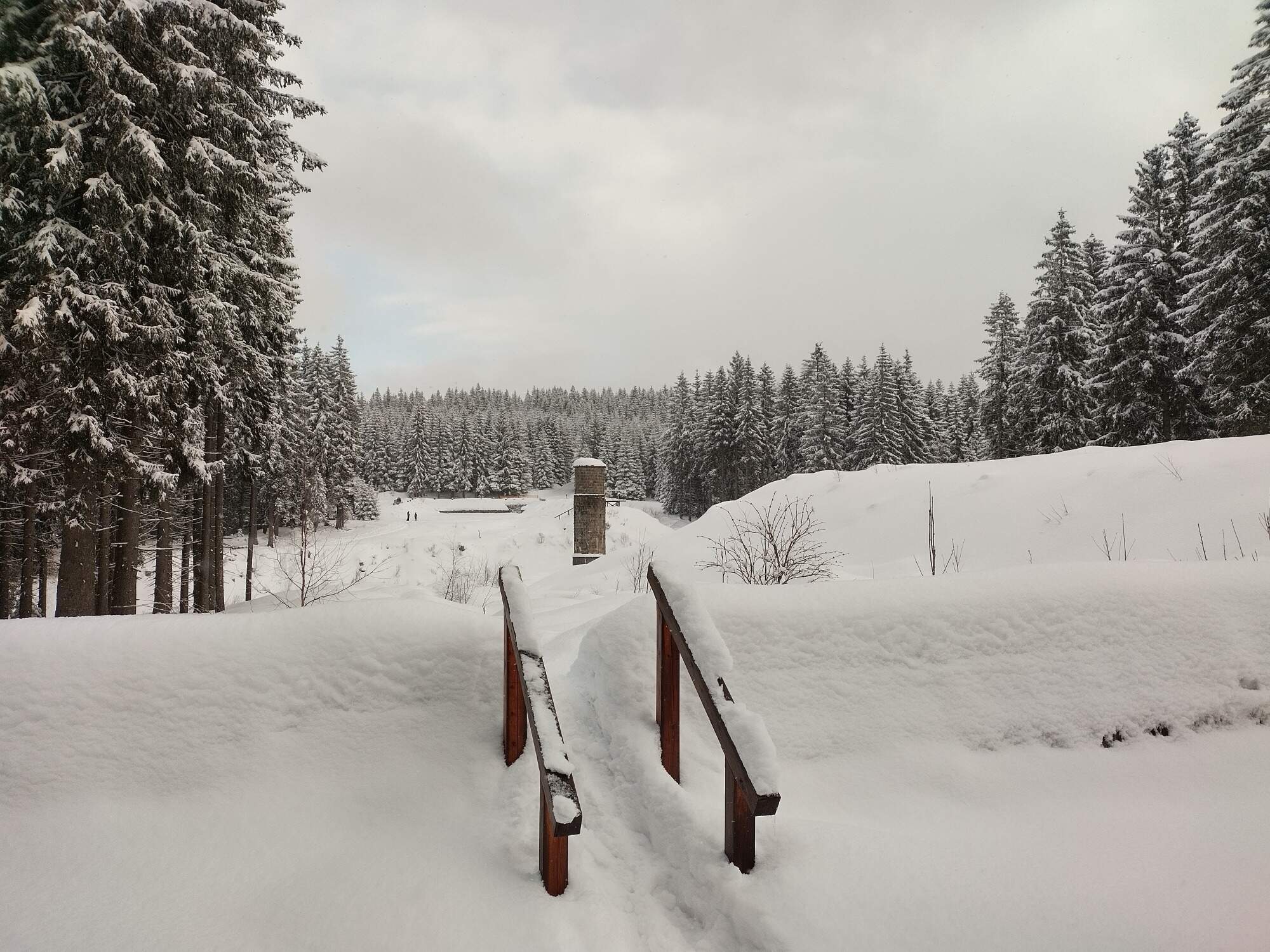 IMG 20250216 103758 HDR